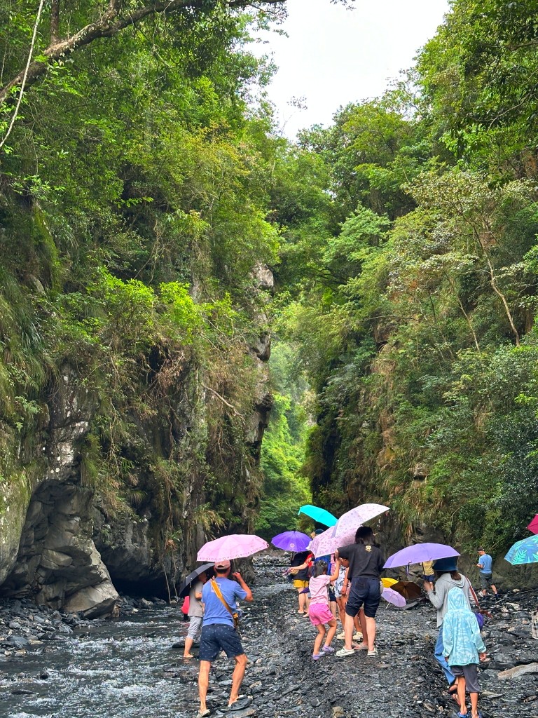 武界一日遊,南投秘境,武界旅遊,武界景點,思源吊橋,武界壩,摩摩納爾瀑布,武界部落,南投避暑景點,武界交通,武界行程規劃,武界一日遊怎麼安排,武界怎麼去,南投涼爽避暑景點推薦,摩摩納爾瀑布要走多久,思源吊橋拍照建議時間,武界壩能不能進去,武界原住民文化體驗,武界親子行程建議