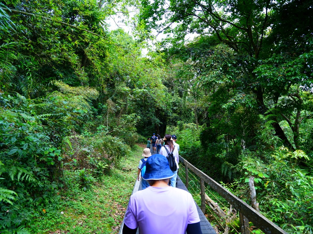 南投景點,日月潭景點,親子旅行,南投,南投景點推薦,輕鬆步道,日月潭,日月潭景點推薦,日月潭步道,親子友善,水蛙頭步道,日月潭旅遊,九蛙疊像,微旅行,日月潭即時影像