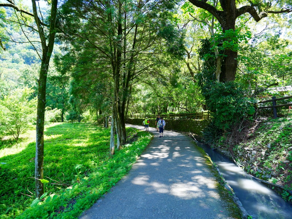武界一日遊,南投秘境,武界旅遊,武界景點,思源吊橋,武界壩,摩摩納爾瀑布,武界部落,南投避暑景點,武界交通,武界行程規劃,武界一日遊怎麼安排,武界怎麼去,南投涼爽避暑景點推薦,摩摩納爾瀑布要走多久,思源吊橋拍照建議時間,武界壩能不能進去,武界原住民文化體驗,武界親子行程建議