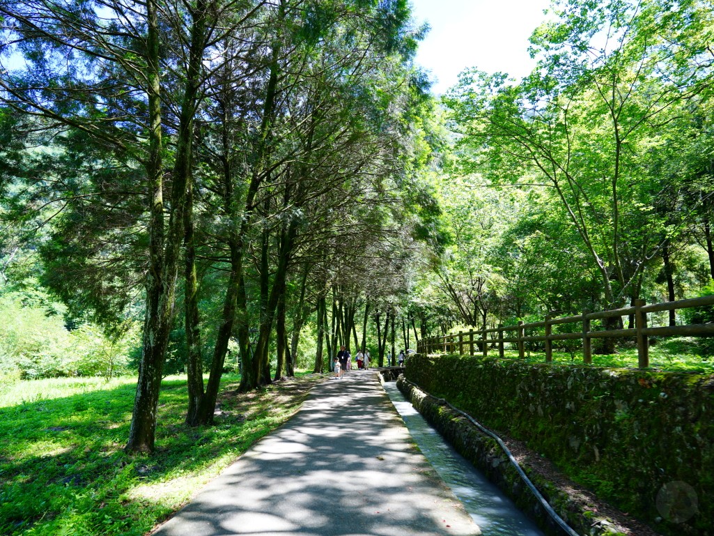 武界一日遊,南投秘境,武界旅遊,武界景點,思源吊橋,武界壩,摩摩納爾瀑布,武界部落,南投避暑景點,武界交通,武界行程規劃,武界一日遊怎麼安排,武界怎麼去,南投涼爽避暑景點推薦,摩摩納爾瀑布要走多久,思源吊橋拍照建議時間,武界壩能不能進去,武界原住民文化體驗,武界親子行程建議