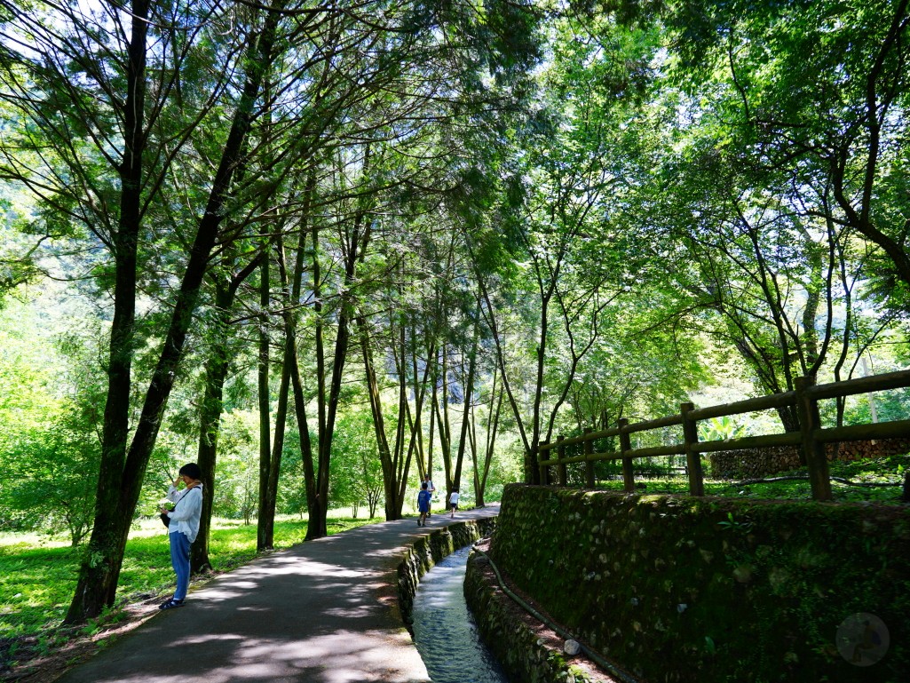 武界一日遊,南投秘境,武界旅遊,武界景點,思源吊橋,武界壩,摩摩納爾瀑布,武界部落,南投避暑景點,武界交通,武界行程規劃,武界一日遊怎麼安排,武界怎麼去,南投涼爽避暑景點推薦,摩摩納爾瀑布要走多久,思源吊橋拍照建議時間,武界壩能不能進去,武界原住民文化體驗,武界親子行程建議