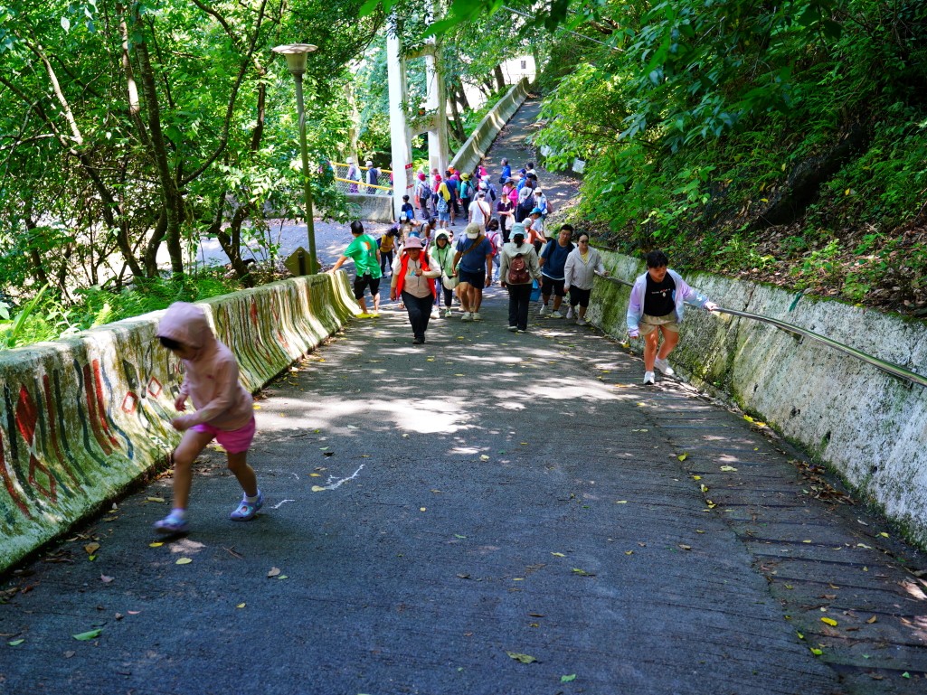 武界一日遊,南投秘境,武界旅遊,武界景點,思源吊橋,武界壩,摩摩納爾瀑布,武界部落,南投避暑景點,武界交通,武界行程規劃,武界一日遊怎麼安排,武界怎麼去,南投涼爽避暑景點推薦,摩摩納爾瀑布要走多久,思源吊橋拍照建議時間,武界壩能不能進去,武界原住民文化體驗,武界親子行程建議