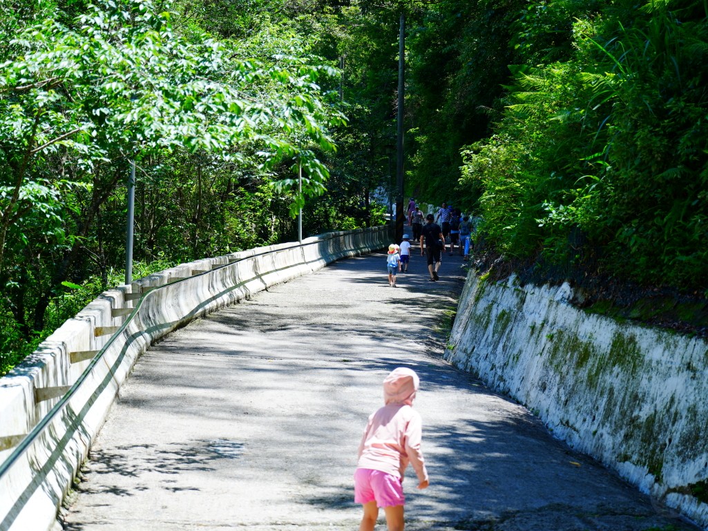 武界一日遊,南投秘境,武界旅遊,武界景點,思源吊橋,武界壩,摩摩納爾瀑布,武界部落,南投避暑景點,武界交通,武界行程規劃,武界一日遊怎麼安排,武界怎麼去,南投涼爽避暑景點推薦,摩摩納爾瀑布要走多久,思源吊橋拍照建議時間,武界壩能不能進去,武界原住民文化體驗,武界親子行程建議