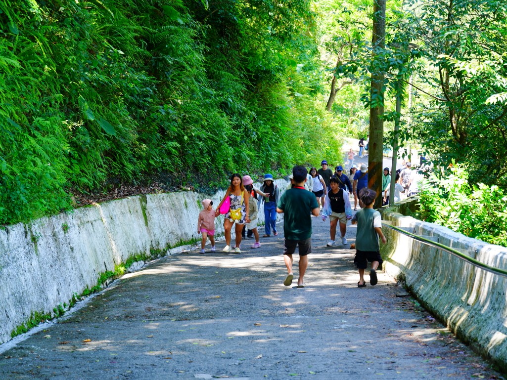 武界一日遊,南投秘境,武界旅遊,武界景點,思源吊橋,武界壩,摩摩納爾瀑布,武界部落,南投避暑景點,武界交通,武界行程規劃,武界一日遊怎麼安排,武界怎麼去,南投涼爽避暑景點推薦,摩摩納爾瀑布要走多久,思源吊橋拍照建議時間,武界壩能不能進去,武界原住民文化體驗,武界親子行程建議