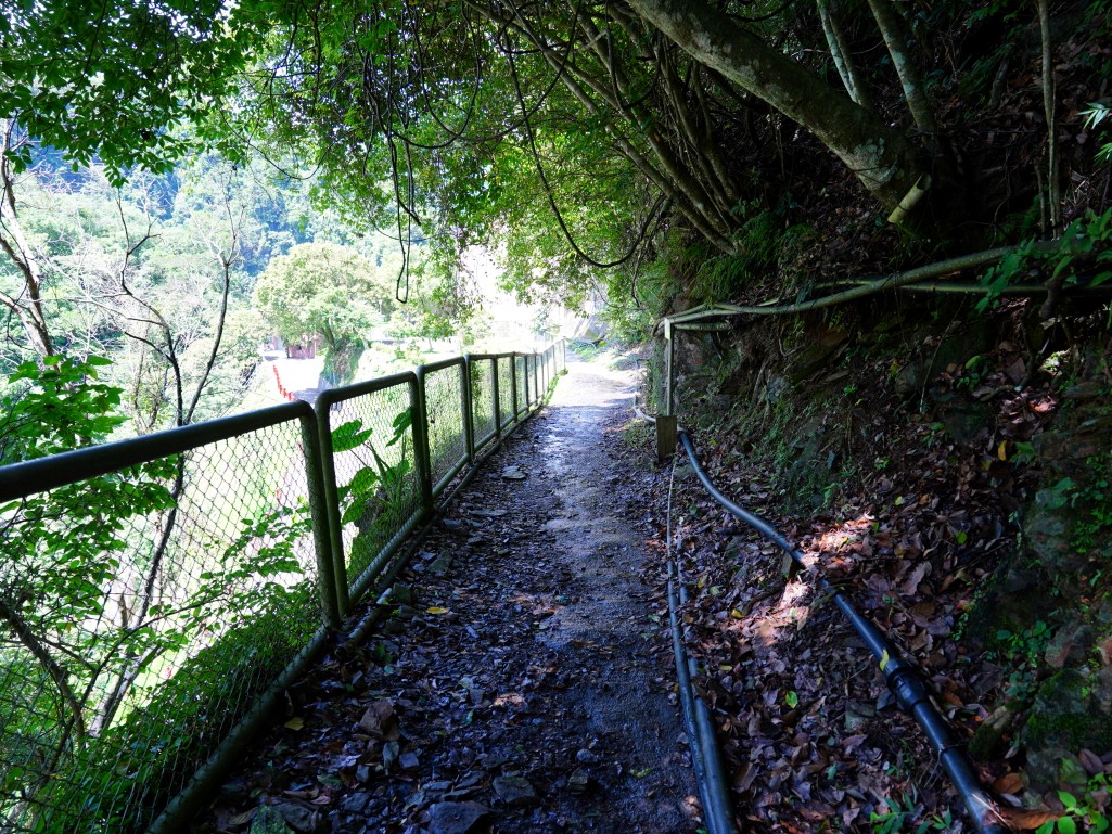 武界一日遊,南投秘境,武界旅遊,武界景點,思源吊橋,武界壩,摩摩納爾瀑布,武界部落,南投避暑景點,武界交通,武界行程規劃,武界一日遊怎麼安排,武界怎麼去,南投涼爽避暑景點推薦,摩摩納爾瀑布要走多久,思源吊橋拍照建議時間,武界壩能不能進去,武界原住民文化體驗,武界親子行程建議