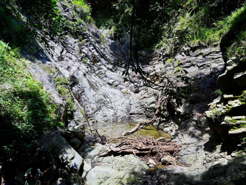 武界一日遊,南投秘境,武界旅遊,武界景點,思源吊橋,武界壩,摩摩納爾瀑布,武界部落,南投避暑景點,武界交通,武界行程規劃,武界一日遊怎麼安排,武界怎麼去,南投涼爽避暑景點推薦,摩摩納爾瀑布要走多久,思源吊橋拍照建議時間,武界壩能不能進去,武界原住民文化體驗,武界親子行程建議