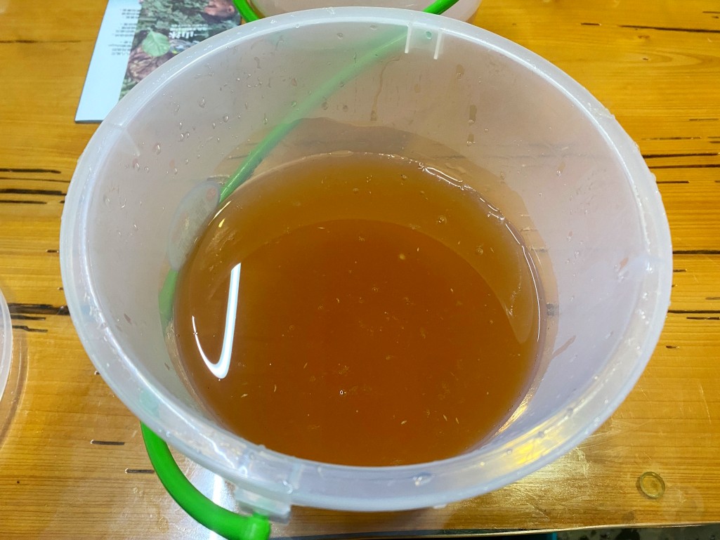 多納部落一日遊,茂林一日遊,茂林景點,多納高吊橋,蛇頭山景觀台,小長城步道,瑪姿餐廳,一杉沐咖啡屋,高雄原住民部落,茂林多納部落,茂林部落旅遊,高雄秘境景點,多納部落文化體驗,魯凱族部落,高雄茂林行程推薦,部落美食推薦,茂林自駕一日遊,茂林輕旅行,多納部落石板屋,多納部落彩繪牆,高雄山區景點,茂林秘境步道,高雄拍照景點,茂林原住民文化,高雄深度旅遊
