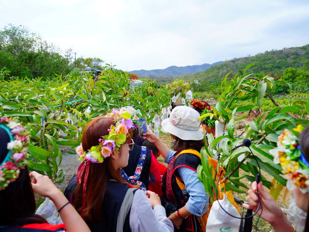 獅子好芒·山蘇蕨起,獅子鄉旅遊, 屏東部落體驗, 山蘇美食, 屏東芒果, 獅子好芒 山蘇蕨起, 屏東獅子鄉景點推薦, 原住民部落旅遊心得, 屏東深度旅遊路線, 山蘇怎麼吃, 芒果產季 屏東, 獅子鄉原住民文化, 踩線行程分享, 部落美食體驗, 屏東私房景點部落, 芒果與山蘇產地探訪 獅子好芒·山蘇蕨起,獅子鄉旅遊, 屏東部落體驗, 山蘇美食, 屏東芒果, 獅子好芒 山蘇蕨起, 屏東獅子鄉景點推薦, 原住民部落旅遊心得, 屏東深度旅遊路線, 山蘇怎麼吃, 芒果產季 屏東, 獅子鄉原住民文化, 踩線行程分享, 部落美食體驗, 屏東私房景點部落, 芒果與山蘇產地探訪