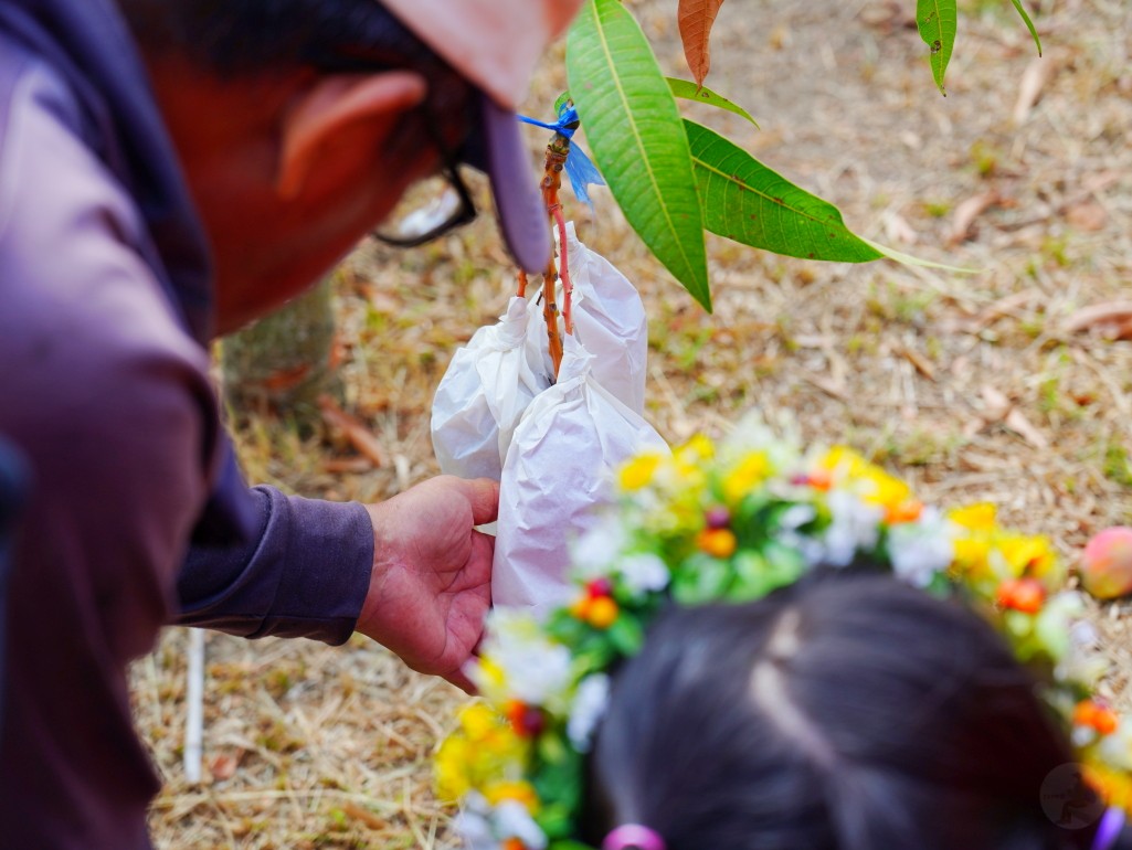 獅子好芒·山蘇蕨起,獅子鄉旅遊, 屏東部落體驗, 山蘇美食, 屏東芒果, 獅子好芒 山蘇蕨起, 屏東獅子鄉景點推薦, 原住民部落旅遊心得, 屏東深度旅遊路線, 山蘇怎麼吃, 芒果產季 屏東, 獅子鄉原住民文化, 踩線行程分享, 部落美食體驗, 屏東私房景點部落, 芒果與山蘇產地探訪 獅子好芒·山蘇蕨起,獅子鄉旅遊, 屏東部落體驗, 山蘇美食, 屏東芒果, 獅子好芒 山蘇蕨起, 屏東獅子鄉景點推薦, 原住民部落旅遊心得, 屏東深度旅遊路線, 山蘇怎麼吃, 芒果產季 屏東, 獅子鄉原住民文化, 踩線行程分享, 部落美食體驗, 屏東私房景點部落, 芒果與山蘇產地探訪