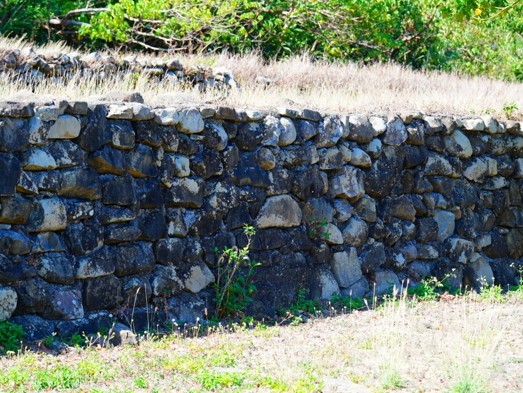 獅子好芒·山蘇蕨起,獅子鄉旅遊, 屏東部落體驗, 山蘇美食, 屏東芒果, 獅子好芒 山蘇蕨起, 屏東獅子鄉景點推薦, 原住民部落旅遊心得, 屏東深度旅遊路線, 山蘇怎麼吃, 芒果產季 屏東, 獅子鄉原住民文化, 踩線行程分享, 部落美食體驗, 屏東私房景點部落, 芒果與山蘇產地探訪 獅子好芒·山蘇蕨起,獅子鄉旅遊, 屏東部落體驗, 山蘇美食, 屏東芒果, 獅子好芒 山蘇蕨起, 屏東獅子鄉景點推薦, 原住民部落旅遊心得, 屏東深度旅遊路線, 山蘇怎麼吃, 芒果產季 屏東, 獅子鄉原住民文化, 踩線行程分享, 部落美食體驗, 屏東私房景點部落, 芒果與山蘇產地探訪