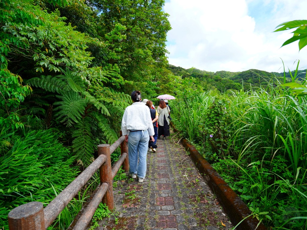 獅子好芒·山蘇蕨起,獅子鄉旅遊, 屏東部落體驗, 山蘇美食, 屏東芒果, 獅子好芒 山蘇蕨起, 屏東獅子鄉景點推薦, 原住民部落旅遊心得, 屏東深度旅遊路線, 山蘇怎麼吃, 芒果產季 屏東, 獅子鄉原住民文化, 踩線行程分享, 部落美食體驗, 屏東私房景點部落, 芒果與山蘇產地探訪 獅子好芒·山蘇蕨起,獅子鄉旅遊, 屏東部落體驗, 山蘇美食, 屏東芒果, 獅子好芒 山蘇蕨起, 屏東獅子鄉景點推薦, 原住民部落旅遊心得, 屏東深度旅遊路線, 山蘇怎麼吃, 芒果產季 屏東, 獅子鄉原住民文化, 踩線行程分享, 部落美食體驗, 屏東私房景點部落, 芒果與山蘇產地探訪