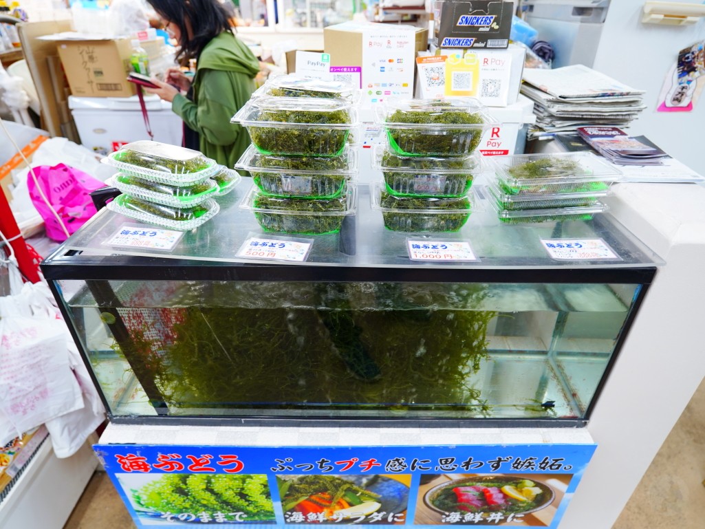 沖繩牧志市場,牧志市場,沖繩美食,沖繩市場,那霸市場,沖繩必吃,沖繩自由行,沖繩景點,沖繩在地美食,沖繩現煮海鮮,牧志市場餐廳,沖繩海葡萄哪裡買,沖繩龍蝦料理,沖繩海鮮市場,牧志市場營業時間,沖繩伴手禮推薦,沖繩旅行,沖繩旅遊,沖繩傳統市場,日本市場美食,日本自由行,那霸美