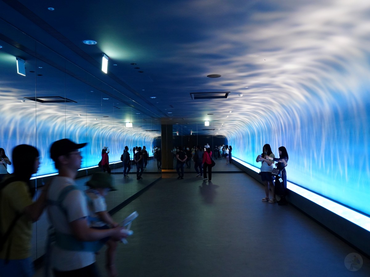 台中海洋館, 台中水族館, 台中海洋館開箱, 台中海洋館門票, 台中海洋館交通, 台中海洋館試營運, 台中旅遊景點, 台中親子景點, 台中景點推薦, 中部水族館,台中海洋生態館,台中海洋館,台中一日遊,海生館,台中景點,台中海生館門票資訊,台中海生館開幕日期,台中海生館交通資訊,台中海生館停車資訊,台中海生館票價,台中海生館開幕時間,台中海洋生態館門票,台中海洋生態館開幕了嗎,台中海生館官網,台中海生館ptt,台中海生館徵才,台中海生館開幕了嗎,台中海生館dcard,台中海生館 評價,台中海生館開幕,水母展覽,鯊魚觀賞,珊瑚礁魚類,生態教育,家庭旅遊景點,台中旅遊必去,水族館體驗,台中海生館,中部海生館,台中旅遊景點,2025年開幕,海洋展區,8.1米展示魚缸,台中海生館, 2025開幕, 清水景點, 梧棲漁港, 親子景點, 中部旅遊, 巨型魚缸, 台灣海生館, 台中新景點,台中海洋館 台中海洋館, 台中水族館, 台中海洋館開箱, 台中海洋館門票, 台中海洋館交通, 台中海洋館試營運, 台中旅遊景點, 台中親子景點, 台中景點推薦, 中部水族館,台中海洋生態館,台中海洋館,台中一日遊,海生館,台中景點,台中海生館門票資訊,台中海生館開幕日期,台中海生館交通資訊,台中海生館停車資訊,台中海生館票價,台中海生館開幕時間,台中海洋生態館門票,台中海洋生態館開幕了嗎,台中海生館官網,台中海生館ptt,台中海生館徵才,台中海生館開幕了嗎,台中海生館dcard,台中海生館 評價,台中海生館開幕,水母展覽,鯊魚觀賞,珊瑚礁魚類,生態教育,家庭旅遊景點,台中旅遊必去,水族館體驗,台中海生館,中部海生館,台中旅遊景點,2025年開幕,海洋展區,8.1米展示魚缸,台中海生館, 2025開幕, 清水景點, 梧棲漁港, 親子景點, 中部旅遊, 巨型魚缸, 台灣海生館, 台中新景點,台中海洋館
