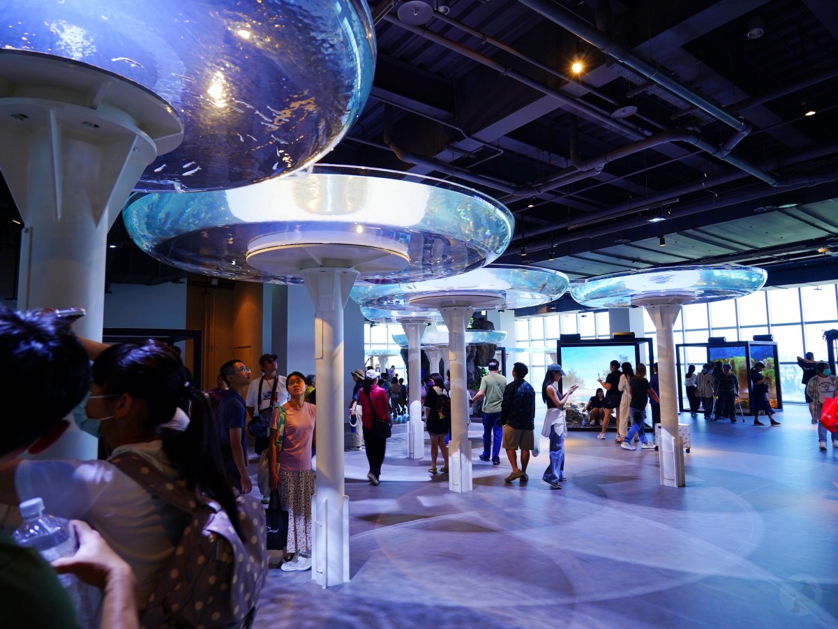 台中海洋館, 台中水族館, 台中海洋館開箱, 台中海洋館門票, 台中海洋館交通, 台中海洋館試營運, 台中旅遊景點, 台中親子景點, 台中景點推薦, 中部水族館,台中海洋生態館,台中海洋館,台中一日遊,海生館,台中景點,台中海生館門票資訊,台中海生館開幕日期,台中海生館交通資訊,台中海生館停車資訊,台中海生館票價,台中海生館開幕時間,台中海洋生態館門票,台中海洋生態館開幕了嗎,台中海生館官網,台中海生館ptt,台中海生館徵才,台中海生館開幕了嗎,台中海生館dcard,台中海生館 評價,台中海生館開幕,水母展覽,鯊魚觀賞,珊瑚礁魚類,生態教育,家庭旅遊景點,台中旅遊必去,水族館體驗,台中海生館,中部海生館,台中旅遊景點,2025年開幕,海洋展區,8.1米展示魚缸,台中海生館, 2025開幕, 清水景點, 梧棲漁港, 親子景點, 中部旅遊, 巨型魚缸, 台灣海生館, 台中新景點,台中海洋館