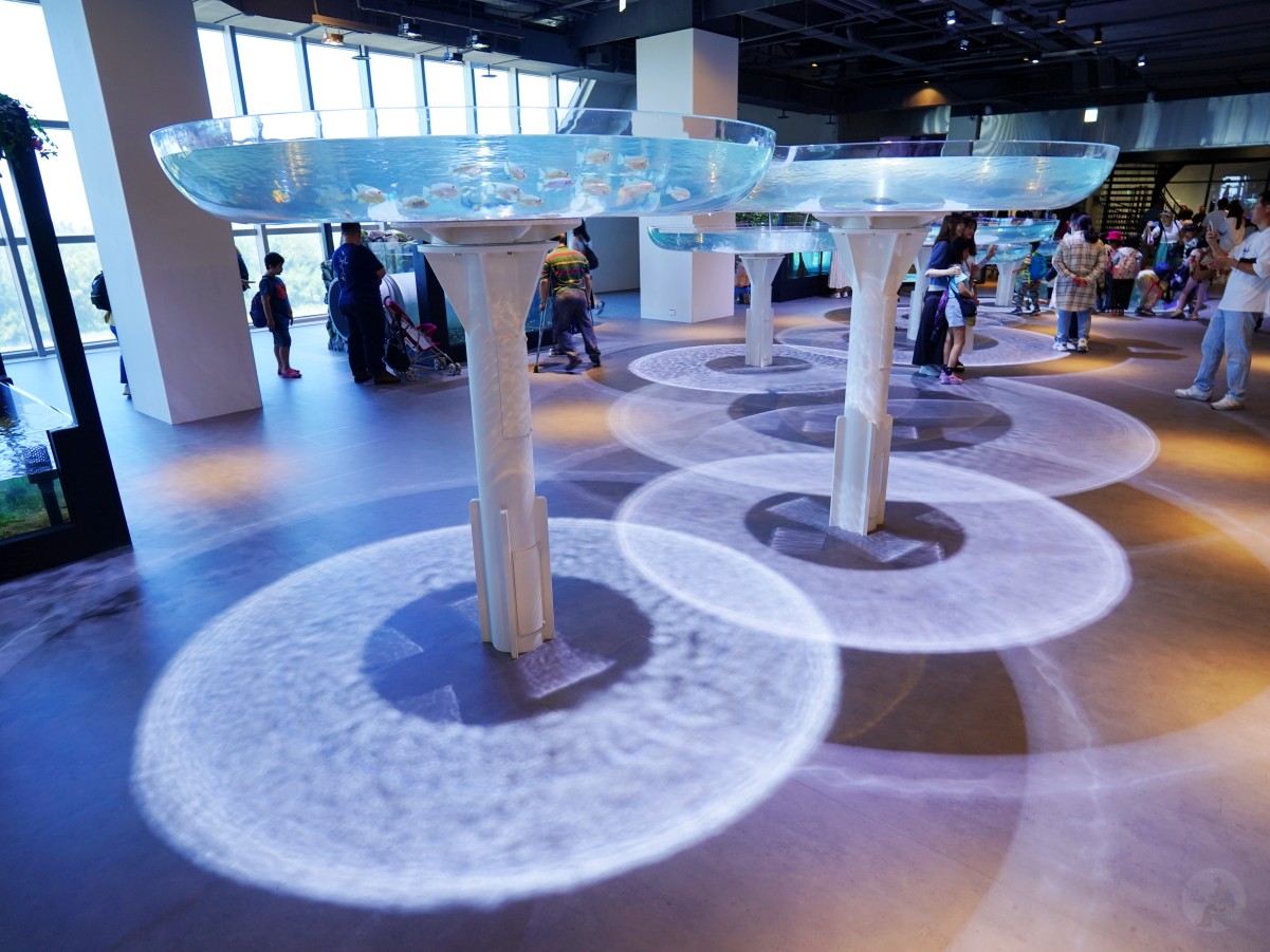 台中海洋館, 台中水族館, 台中海洋館開箱, 台中海洋館門票, 台中海洋館交通, 台中海洋館試營運, 台中旅遊景點, 台中親子景點, 台中景點推薦, 中部水族館,台中海洋生態館,台中海洋館,台中一日遊,海生館,台中景點,台中海生館門票資訊,台中海生館開幕日期,台中海生館交通資訊,台中海生館停車資訊,台中海生館票價,台中海生館開幕時間,台中海洋生態館門票,台中海洋生態館開幕了嗎,台中海生館官網,台中海生館ptt,台中海生館徵才,台中海生館開幕了嗎,台中海生館dcard,台中海生館 評價,台中海生館開幕,水母展覽,鯊魚觀賞,珊瑚礁魚類,生態教育,家庭旅遊景點,台中旅遊必去,水族館體驗,台中海生館,中部海生館,台中旅遊景點,2025年開幕,海洋展區,8.1米展示魚缸,台中海生館, 2025開幕, 清水景點, 梧棲漁港, 親子景點, 中部旅遊, 巨型魚缸, 台灣海生館, 台中新景點,台中海洋館 台中海洋館, 台中水族館, 台中海洋館開箱, 台中海洋館門票, 台中海洋館交通, 台中海洋館試營運, 台中旅遊景點, 台中親子景點, 台中景點推薦, 中部水族館,台中海洋生態館,台中海洋館,台中一日遊,海生館,台中景點,台中海生館門票資訊,台中海生館開幕日期,台中海生館交通資訊,台中海生館停車資訊,台中海生館票價,台中海生館開幕時間,台中海洋生態館門票,台中海洋生態館開幕了嗎,台中海生館官網,台中海生館ptt,台中海生館徵才,台中海生館開幕了嗎,台中海生館dcard,台中海生館 評價,台中海生館開幕,水母展覽,鯊魚觀賞,珊瑚礁魚類,生態教育,家庭旅遊景點,台中旅遊必去,水族館體驗,台中海生館,中部海生館,台中旅遊景點,2025年開幕,海洋展區,8.1米展示魚缸,台中海生館, 2025開幕, 清水景點, 梧棲漁港, 親子景點, 中部旅遊, 巨型魚缸, 台灣海生館, 台中新景點,台中海洋館