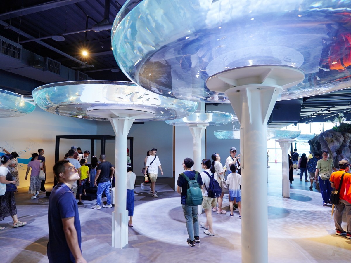 台中海洋館, 台中水族館, 台中海洋館開箱, 台中海洋館門票, 台中海洋館交通, 台中海洋館試營運, 台中旅遊景點, 台中親子景點, 台中景點推薦, 中部水族館,台中海洋生態館,台中海洋館,台中一日遊,海生館,台中景點,台中海生館門票資訊,台中海生館開幕日期,台中海生館交通資訊,台中海生館停車資訊,台中海生館票價,台中海生館開幕時間,台中海洋生態館門票,台中海洋生態館開幕了嗎,台中海生館官網,台中海生館ptt,台中海生館徵才,台中海生館開幕了嗎,台中海生館dcard,台中海生館 評價,台中海生館開幕,水母展覽,鯊魚觀賞,珊瑚礁魚類,生態教育,家庭旅遊景點,台中旅遊必去,水族館體驗,台中海生館,中部海生館,台中旅遊景點,2025年開幕,海洋展區,8.1米展示魚缸,台中海生館, 2025開幕, 清水景點, 梧棲漁港, 親子景點, 中部旅遊, 巨型魚缸, 台灣海生館, 台中新景點,台中海洋館 台中海洋館, 台中水族館, 台中海洋館開箱, 台中海洋館門票, 台中海洋館交通, 台中海洋館試營運, 台中旅遊景點, 台中親子景點, 台中景點推薦, 中部水族館,台中海洋生態館,台中海洋館,台中一日遊,海生館,台中景點,台中海生館門票資訊,台中海生館開幕日期,台中海生館交通資訊,台中海生館停車資訊,台中海生館票價,台中海生館開幕時間,台中海洋生態館門票,台中海洋生態館開幕了嗎,台中海生館官網,台中海生館ptt,台中海生館徵才,台中海生館開幕了嗎,台中海生館dcard,台中海生館 評價,台中海生館開幕,水母展覽,鯊魚觀賞,珊瑚礁魚類,生態教育,家庭旅遊景點,台中旅遊必去,水族館體驗,台中海生館,中部海生館,台中旅遊景點,2025年開幕,海洋展區,8.1米展示魚缸,台中海生館, 2025開幕, 清水景點, 梧棲漁港, 親子景點, 中部旅遊, 巨型魚缸, 台灣海生館, 台中新景點,台中海洋館