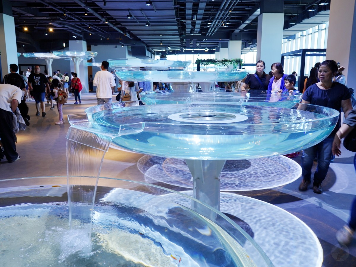 台中海洋館, 台中水族館, 台中海洋館開箱, 台中海洋館門票, 台中海洋館交通, 台中海洋館試營運, 台中旅遊景點, 台中親子景點, 台中景點推薦, 中部水族館,台中海洋生態館,台中海洋館,台中一日遊,海生館,台中景點,台中海生館門票資訊,台中海生館開幕日期,台中海生館交通資訊,台中海生館停車資訊,台中海生館票價,台中海生館開幕時間,台中海洋生態館門票,台中海洋生態館開幕了嗎,台中海生館官網,台中海生館ptt,台中海生館徵才,台中海生館開幕了嗎,台中海生館dcard,台中海生館 評價,台中海生館開幕,水母展覽,鯊魚觀賞,珊瑚礁魚類,生態教育,家庭旅遊景點,台中旅遊必去,水族館體驗,台中海生館,中部海生館,台中旅遊景點,2025年開幕,海洋展區,8.1米展示魚缸,台中海生館, 2025開幕, 清水景點, 梧棲漁港, 親子景點, 中部旅遊, 巨型魚缸, 台灣海生館, 台中新景點,台中海洋館 台中海洋館, 台中水族館, 台中海洋館開箱, 台中海洋館門票, 台中海洋館交通, 台中海洋館試營運, 台中旅遊景點, 台中親子景點, 台中景點推薦, 中部水族館,台中海洋生態館,台中海洋館,台中一日遊,海生館,台中景點,台中海生館門票資訊,台中海生館開幕日期,台中海生館交通資訊,台中海生館停車資訊,台中海生館票價,台中海生館開幕時間,台中海洋生態館門票,台中海洋生態館開幕了嗎,台中海生館官網,台中海生館ptt,台中海生館徵才,台中海生館開幕了嗎,台中海生館dcard,台中海生館 評價,台中海生館開幕,水母展覽,鯊魚觀賞,珊瑚礁魚類,生態教育,家庭旅遊景點,台中旅遊必去,水族館體驗,台中海生館,中部海生館,台中旅遊景點,2025年開幕,海洋展區,8.1米展示魚缸,台中海生館, 2025開幕, 清水景點, 梧棲漁港, 親子景點, 中部旅遊, 巨型魚缸, 台灣海生館, 台中新景點,台中海洋館