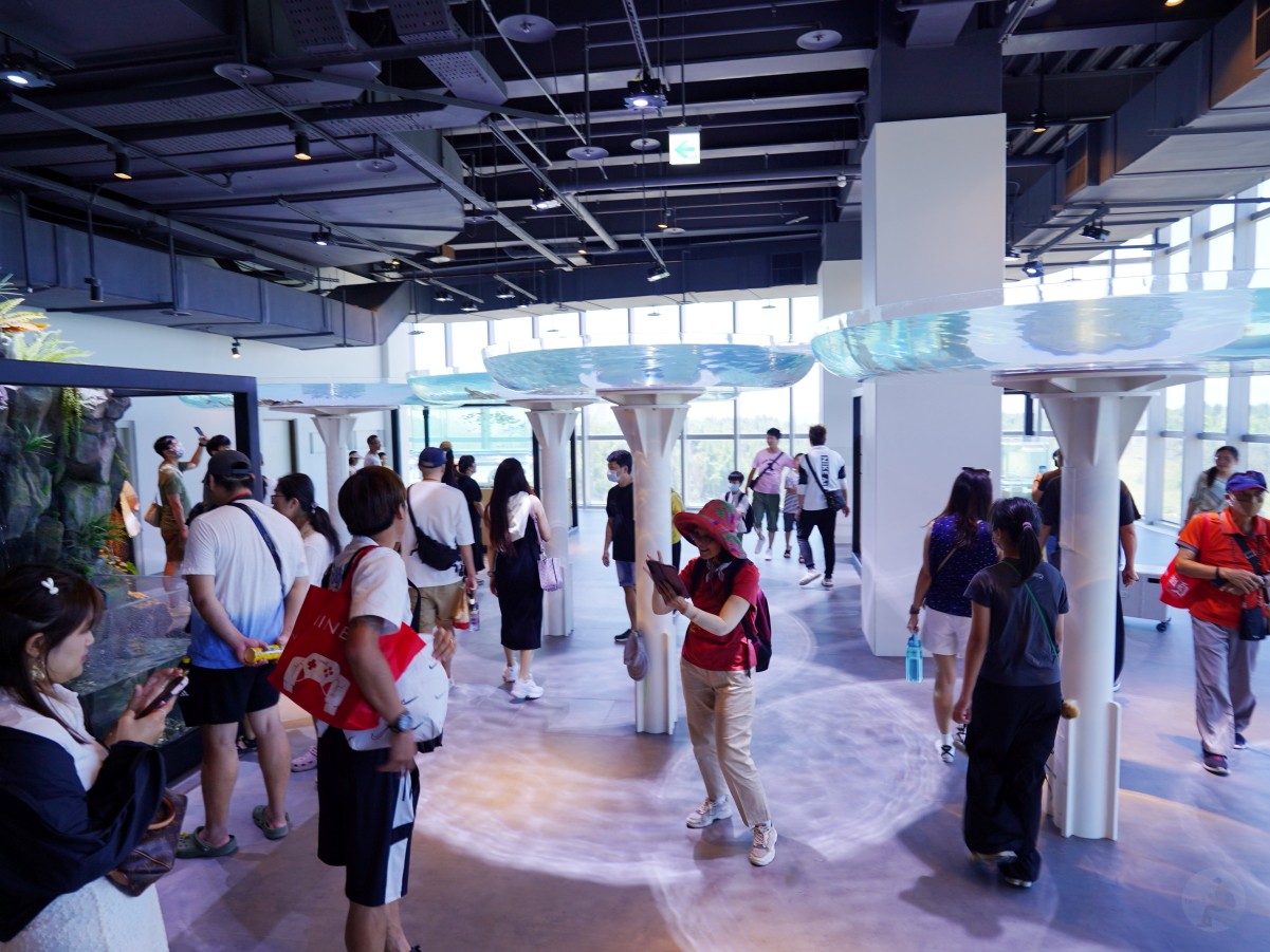 台中海洋館, 台中水族館, 台中海洋館開箱, 台中海洋館門票, 台中海洋館交通, 台中海洋館試營運, 台中旅遊景點, 台中親子景點, 台中景點推薦, 中部水族館,台中海洋生態館,台中海洋館,台中一日遊,海生館,台中景點,台中海生館門票資訊,台中海生館開幕日期,台中海生館交通資訊,台中海生館停車資訊,台中海生館票價,台中海生館開幕時間,台中海洋生態館門票,台中海洋生態館開幕了嗎,台中海生館官網,台中海生館ptt,台中海生館徵才,台中海生館開幕了嗎,台中海生館dcard,台中海生館 評價,台中海生館開幕,水母展覽,鯊魚觀賞,珊瑚礁魚類,生態教育,家庭旅遊景點,台中旅遊必去,水族館體驗,台中海生館,中部海生館,台中旅遊景點,2025年開幕,海洋展區,8.1米展示魚缸,台中海生館, 2025開幕, 清水景點, 梧棲漁港, 親子景點, 中部旅遊, 巨型魚缸, 台灣海生館, 台中新景點,台中海洋館 台中海洋館, 台中水族館, 台中海洋館開箱, 台中海洋館門票, 台中海洋館交通, 台中海洋館試營運, 台中旅遊景點, 台中親子景點, 台中景點推薦, 中部水族館,台中海洋生態館,台中海洋館,台中一日遊,海生館,台中景點,台中海生館門票資訊,台中海生館開幕日期,台中海生館交通資訊,台中海生館停車資訊,台中海生館票價,台中海生館開幕時間,台中海洋生態館門票,台中海洋生態館開幕了嗎,台中海生館官網,台中海生館ptt,台中海生館徵才,台中海生館開幕了嗎,台中海生館dcard,台中海生館 評價,台中海生館開幕,水母展覽,鯊魚觀賞,珊瑚礁魚類,生態教育,家庭旅遊景點,台中旅遊必去,水族館體驗,台中海生館,中部海生館,台中旅遊景點,2025年開幕,海洋展區,8.1米展示魚缸,台中海生館, 2025開幕, 清水景點, 梧棲漁港, 親子景點, 中部旅遊, 巨型魚缸, 台灣海生館, 台中新景點,台中海洋館