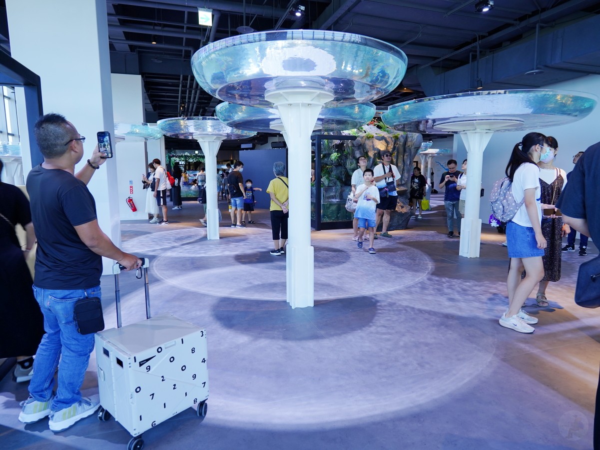 台中海洋館, 台中水族館, 台中海洋館開箱, 台中海洋館門票, 台中海洋館交通, 台中海洋館試營運, 台中旅遊景點, 台中親子景點, 台中景點推薦, 中部水族館,台中海洋生態館,台中海洋館,台中一日遊,海生館,台中景點,台中海生館門票資訊,台中海生館開幕日期,台中海生館交通資訊,台中海生館停車資訊,台中海生館票價,台中海生館開幕時間,台中海洋生態館門票,台中海洋生態館開幕了嗎,台中海生館官網,台中海生館ptt,台中海生館徵才,台中海生館開幕了嗎,台中海生館dcard,台中海生館 評價,台中海生館開幕,水母展覽,鯊魚觀賞,珊瑚礁魚類,生態教育,家庭旅遊景點,台中旅遊必去,水族館體驗,台中海生館,中部海生館,台中旅遊景點,2025年開幕,海洋展區,8.1米展示魚缸,台中海生館, 2025開幕, 清水景點, 梧棲漁港, 親子景點, 中部旅遊, 巨型魚缸, 台灣海生館, 台中新景點,台中海洋館 台中海洋館, 台中水族館, 台中海洋館開箱, 台中海洋館門票, 台中海洋館交通, 台中海洋館試營運, 台中旅遊景點, 台中親子景點, 台中景點推薦, 中部水族館,台中海洋生態館,台中海洋館,台中一日遊,海生館,台中景點,台中海生館門票資訊,台中海生館開幕日期,台中海生館交通資訊,台中海生館停車資訊,台中海生館票價,台中海生館開幕時間,台中海洋生態館門票,台中海洋生態館開幕了嗎,台中海生館官網,台中海生館ptt,台中海生館徵才,台中海生館開幕了嗎,台中海生館dcard,台中海生館 評價,台中海生館開幕,水母展覽,鯊魚觀賞,珊瑚礁魚類,生態教育,家庭旅遊景點,台中旅遊必去,水族館體驗,台中海生館,中部海生館,台中旅遊景點,2025年開幕,海洋展區,8.1米展示魚缸,台中海生館, 2025開幕, 清水景點, 梧棲漁港, 親子景點, 中部旅遊, 巨型魚缸, 台灣海生館, 台中新景點,台中海洋館