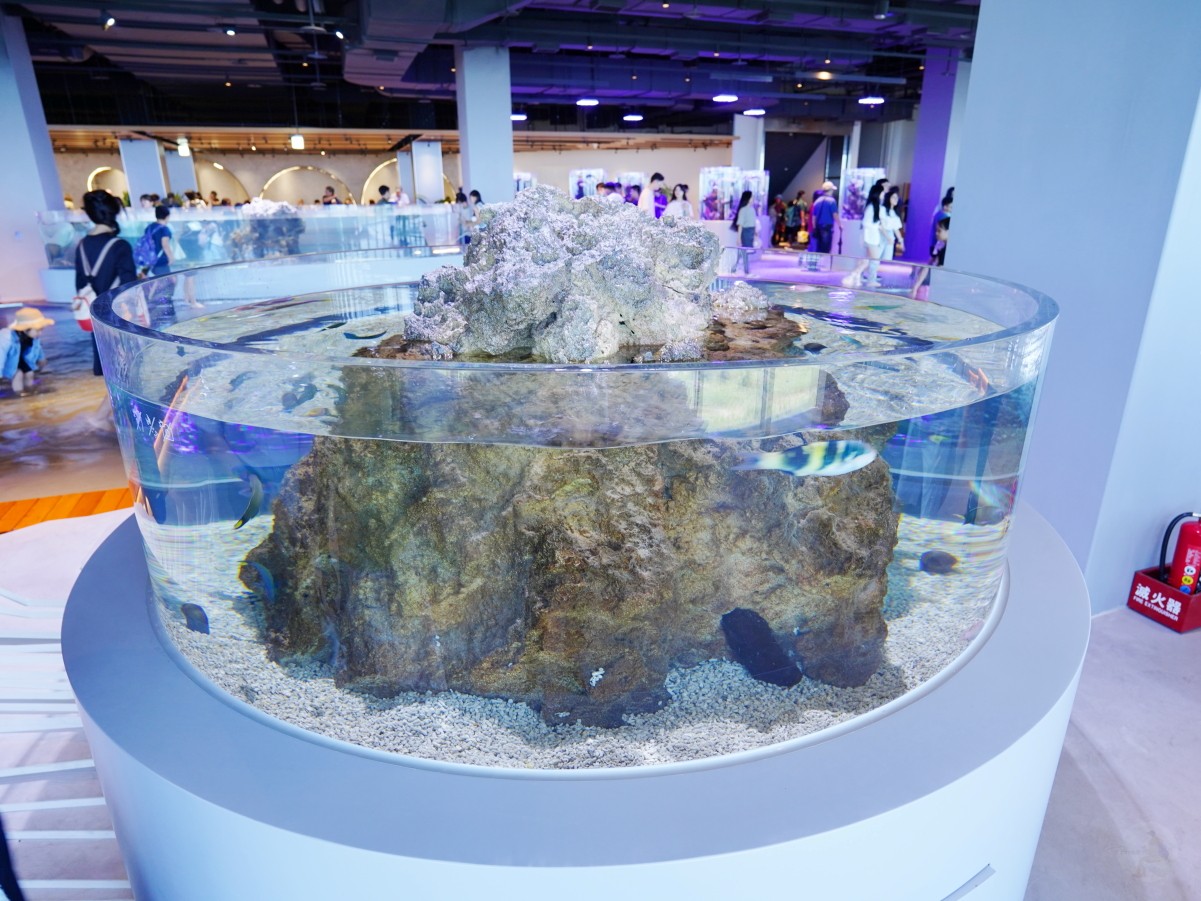 台中海洋館, 台中水族館, 台中海洋館開箱, 台中海洋館門票, 台中海洋館交通, 台中海洋館試營運, 台中旅遊景點, 台中親子景點, 台中景點推薦, 中部水族館,台中海洋生態館,台中海洋館,台中一日遊,海生館,台中景點,台中海生館門票資訊,台中海生館開幕日期,台中海生館交通資訊,台中海生館停車資訊,台中海生館票價,台中海生館開幕時間,台中海洋生態館門票,台中海洋生態館開幕了嗎,台中海生館官網,台中海生館ptt,台中海生館徵才,台中海生館開幕了嗎,台中海生館dcard,台中海生館 評價,台中海生館開幕,水母展覽,鯊魚觀賞,珊瑚礁魚類,生態教育,家庭旅遊景點,台中旅遊必去,水族館體驗,台中海生館,中部海生館,台中旅遊景點,2025年開幕,海洋展區,8.1米展示魚缸,台中海生館, 2025開幕, 清水景點, 梧棲漁港, 親子景點, 中部旅遊, 巨型魚缸, 台灣海生館, 台中新景點,台中海洋館 台中海洋館, 台中水族館, 台中海洋館開箱, 台中海洋館門票, 台中海洋館交通, 台中海洋館試營運, 台中旅遊景點, 台中親子景點, 台中景點推薦, 中部水族館,台中海洋生態館,台中海洋館,台中一日遊,海生館,台中景點,台中海生館門票資訊,台中海生館開幕日期,台中海生館交通資訊,台中海生館停車資訊,台中海生館票價,台中海生館開幕時間,台中海洋生態館門票,台中海洋生態館開幕了嗎,台中海生館官網,台中海生館ptt,台中海生館徵才,台中海生館開幕了嗎,台中海生館dcard,台中海生館 評價,台中海生館開幕,水母展覽,鯊魚觀賞,珊瑚礁魚類,生態教育,家庭旅遊景點,台中旅遊必去,水族館體驗,台中海生館,中部海生館,台中旅遊景點,2025年開幕,海洋展區,8.1米展示魚缸,台中海生館, 2025開幕, 清水景點, 梧棲漁港, 親子景點, 中部旅遊, 巨型魚缸, 台灣海生館, 台中新景點,台中海洋館