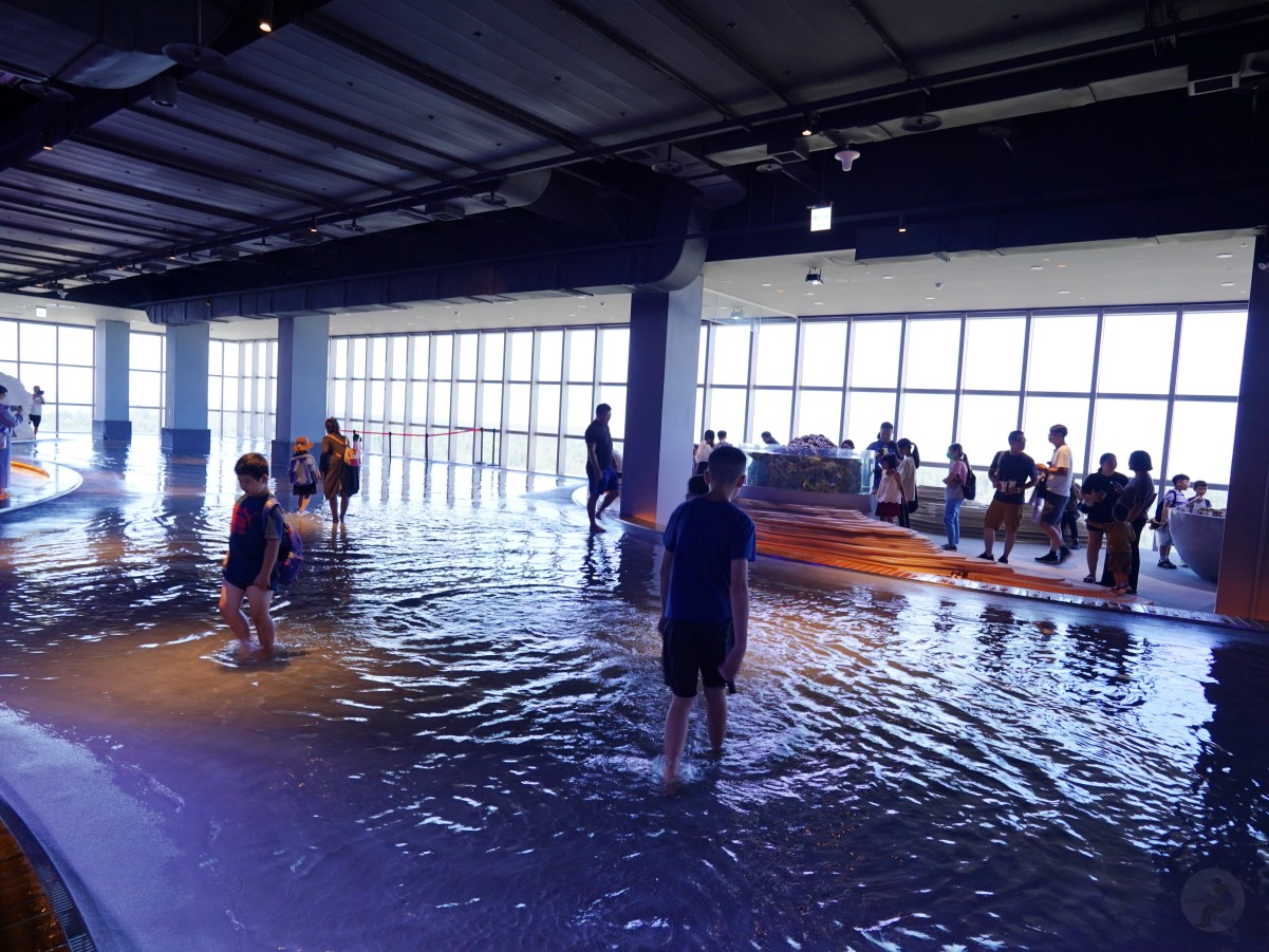 台中海洋館, 台中水族館, 台中海洋館開箱, 台中海洋館門票, 台中海洋館交通, 台中海洋館試營運, 台中旅遊景點, 台中親子景點, 台中景點推薦, 中部水族館,台中海洋生態館,台中海洋館,台中一日遊,海生館,台中景點,台中海生館門票資訊,台中海生館開幕日期,台中海生館交通資訊,台中海生館停車資訊,台中海生館票價,台中海生館開幕時間,台中海洋生態館門票,台中海洋生態館開幕了嗎,台中海生館官網,台中海生館ptt,台中海生館徵才,台中海生館開幕了嗎,台中海生館dcard,台中海生館 評價,台中海生館開幕,水母展覽,鯊魚觀賞,珊瑚礁魚類,生態教育,家庭旅遊景點,台中旅遊必去,水族館體驗,台中海生館,中部海生館,台中旅遊景點,2025年開幕,海洋展區,8.1米展示魚缸,台中海生館, 2025開幕, 清水景點, 梧棲漁港, 親子景點, 中部旅遊, 巨型魚缸, 台灣海生館, 台中新景點,台中海洋館 台中海洋館, 台中水族館, 台中海洋館開箱, 台中海洋館門票, 台中海洋館交通, 台中海洋館試營運, 台中旅遊景點, 台中親子景點, 台中景點推薦, 中部水族館,台中海洋生態館,台中海洋館,台中一日遊,海生館,台中景點,台中海生館門票資訊,台中海生館開幕日期,台中海生館交通資訊,台中海生館停車資訊,台中海生館票價,台中海生館開幕時間,台中海洋生態館門票,台中海洋生態館開幕了嗎,台中海生館官網,台中海生館ptt,台中海生館徵才,台中海生館開幕了嗎,台中海生館dcard,台中海生館 評價,台中海生館開幕,水母展覽,鯊魚觀賞,珊瑚礁魚類,生態教育,家庭旅遊景點,台中旅遊必去,水族館體驗,台中海生館,中部海生館,台中旅遊景點,2025年開幕,海洋展區,8.1米展示魚缸,台中海生館, 2025開幕, 清水景點, 梧棲漁港, 親子景點, 中部旅遊, 巨型魚缸, 台灣海生館, 台中新景點,台中海洋館