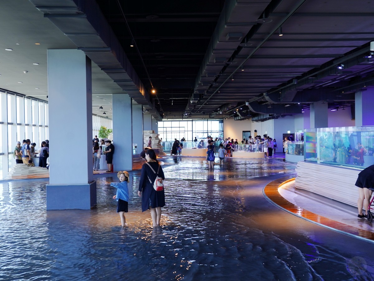 台中海洋館, 台中水族館, 台中海洋館開箱, 台中海洋館門票, 台中海洋館交通, 台中海洋館試營運, 台中旅遊景點, 台中親子景點, 台中景點推薦, 中部水族館,台中海洋生態館,台中海洋館,台中一日遊,海生館,台中景點,台中海生館門票資訊,台中海生館開幕日期,台中海生館交通資訊,台中海生館停車資訊,台中海生館票價,台中海生館開幕時間,台中海洋生態館門票,台中海洋生態館開幕了嗎,台中海生館官網,台中海生館ptt,台中海生館徵才,台中海生館開幕了嗎,台中海生館dcard,台中海生館 評價,台中海生館開幕,水母展覽,鯊魚觀賞,珊瑚礁魚類,生態教育,家庭旅遊景點,台中旅遊必去,水族館體驗,台中海生館,中部海生館,台中旅遊景點,2025年開幕,海洋展區,8.1米展示魚缸,台中海生館, 2025開幕, 清水景點, 梧棲漁港, 親子景點, 中部旅遊, 巨型魚缸, 台灣海生館, 台中新景點,台中海洋館 台中海洋館, 台中水族館, 台中海洋館開箱, 台中海洋館門票, 台中海洋館交通, 台中海洋館試營運, 台中旅遊景點, 台中親子景點, 台中景點推薦, 中部水族館,台中海洋生態館,台中海洋館,台中一日遊,海生館,台中景點,台中海生館門票資訊,台中海生館開幕日期,台中海生館交通資訊,台中海生館停車資訊,台中海生館票價,台中海生館開幕時間,台中海洋生態館門票,台中海洋生態館開幕了嗎,台中海生館官網,台中海生館ptt,台中海生館徵才,台中海生館開幕了嗎,台中海生館dcard,台中海生館 評價,台中海生館開幕,水母展覽,鯊魚觀賞,珊瑚礁魚類,生態教育,家庭旅遊景點,台中旅遊必去,水族館體驗,台中海生館,中部海生館,台中旅遊景點,2025年開幕,海洋展區,8.1米展示魚缸,台中海生館, 2025開幕, 清水景點, 梧棲漁港, 親子景點, 中部旅遊, 巨型魚缸, 台灣海生館, 台中新景點,台中海洋館