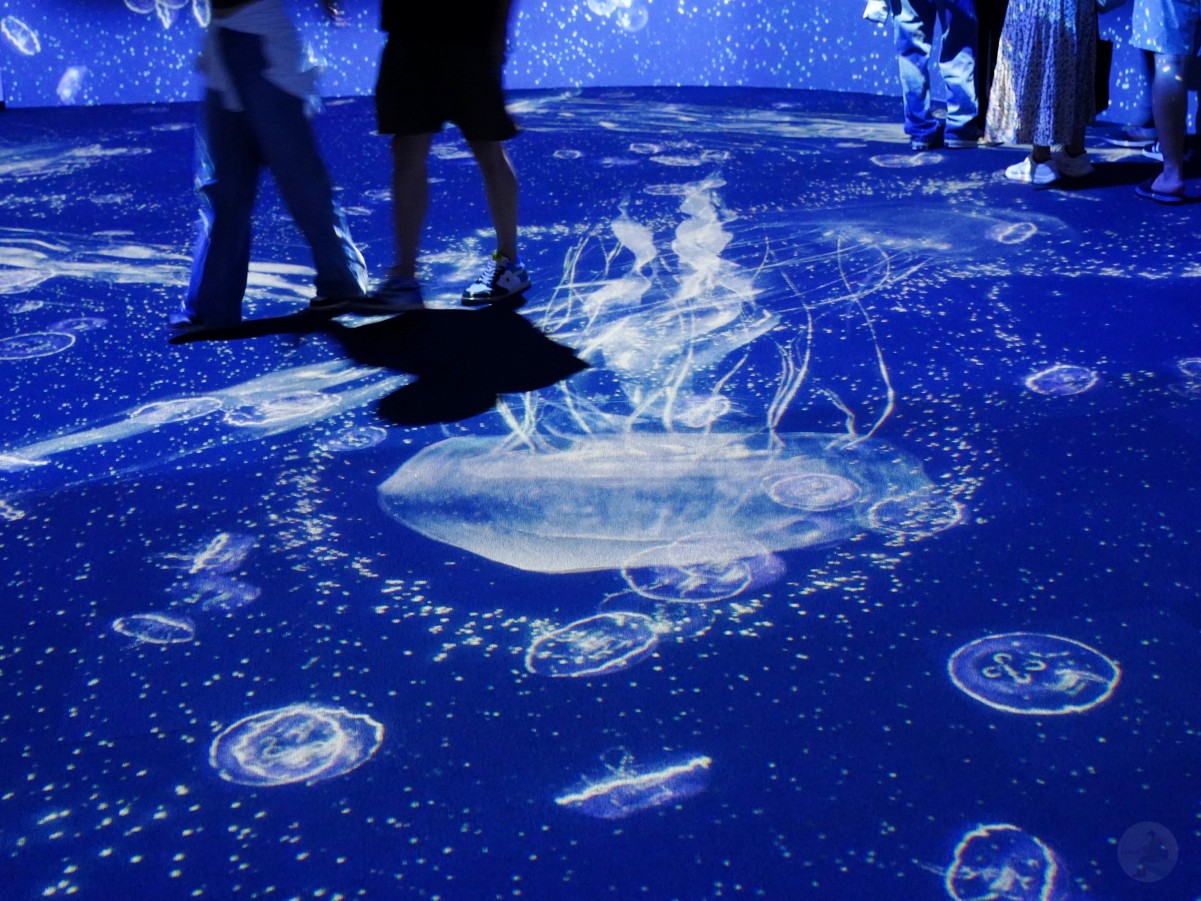 台中海洋館, 台中水族館, 台中海洋館開箱, 台中海洋館門票, 台中海洋館交通, 台中海洋館試營運, 台中旅遊景點, 台中親子景點, 台中景點推薦, 中部水族館,台中海洋生態館,台中海洋館,台中一日遊,海生館,台中景點,台中海生館門票資訊,台中海生館開幕日期,台中海生館交通資訊,台中海生館停車資訊,台中海生館票價,台中海生館開幕時間,台中海洋生態館門票,台中海洋生態館開幕了嗎,台中海生館官網,台中海生館ptt,台中海生館徵才,台中海生館開幕了嗎,台中海生館dcard,台中海生館 評價,台中海生館開幕,水母展覽,鯊魚觀賞,珊瑚礁魚類,生態教育,家庭旅遊景點,台中旅遊必去,水族館體驗,台中海生館,中部海生館,台中旅遊景點,2025年開幕,海洋展區,8.1米展示魚缸,台中海生館, 2025開幕, 清水景點, 梧棲漁港, 親子景點, 中部旅遊, 巨型魚缸, 台灣海生館, 台中新景點,台中海洋館 台中海洋館, 台中水族館, 台中海洋館開箱, 台中海洋館門票, 台中海洋館交通, 台中海洋館試營運, 台中旅遊景點, 台中親子景點, 台中景點推薦, 中部水族館,台中海洋生態館,台中海洋館,台中一日遊,海生館,台中景點,台中海生館門票資訊,台中海生館開幕日期,台中海生館交通資訊,台中海生館停車資訊,台中海生館票價,台中海生館開幕時間,台中海洋生態館門票,台中海洋生態館開幕了嗎,台中海生館官網,台中海生館ptt,台中海生館徵才,台中海生館開幕了嗎,台中海生館dcard,台中海生館 評價,台中海生館開幕,水母展覽,鯊魚觀賞,珊瑚礁魚類,生態教育,家庭旅遊景點,台中旅遊必去,水族館體驗,台中海生館,中部海生館,台中旅遊景點,2025年開幕,海洋展區,8.1米展示魚缸,台中海生館, 2025開幕, 清水景點, 梧棲漁港, 親子景點, 中部旅遊, 巨型魚缸, 台灣海生館, 台中新景點,台中海洋館