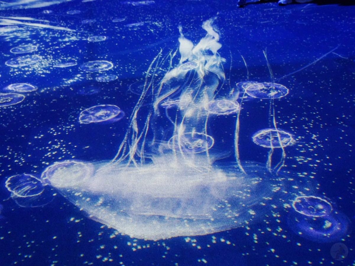 台中海洋館, 台中水族館, 台中海洋館開箱, 台中海洋館門票, 台中海洋館交通, 台中海洋館試營運, 台中旅遊景點, 台中親子景點, 台中景點推薦, 中部水族館,台中海洋生態館,台中海洋館,台中一日遊,海生館,台中景點,台中海生館門票資訊,台中海生館開幕日期,台中海生館交通資訊,台中海生館停車資訊,台中海生館票價,台中海生館開幕時間,台中海洋生態館門票,台中海洋生態館開幕了嗎,台中海生館官網,台中海生館ptt,台中海生館徵才,台中海生館開幕了嗎,台中海生館dcard,台中海生館 評價,台中海生館開幕,水母展覽,鯊魚觀賞,珊瑚礁魚類,生態教育,家庭旅遊景點,台中旅遊必去,水族館體驗,台中海生館,中部海生館,台中旅遊景點,2025年開幕,海洋展區,8.1米展示魚缸,台中海生館, 2025開幕, 清水景點, 梧棲漁港, 親子景點, 中部旅遊, 巨型魚缸, 台灣海生館, 台中新景點,台中海洋館 台中海洋館, 台中水族館, 台中海洋館開箱, 台中海洋館門票, 台中海洋館交通, 台中海洋館試營運, 台中旅遊景點, 台中親子景點, 台中景點推薦, 中部水族館,台中海洋生態館,台中海洋館,台中一日遊,海生館,台中景點,台中海生館門票資訊,台中海生館開幕日期,台中海生館交通資訊,台中海生館停車資訊,台中海生館票價,台中海生館開幕時間,台中海洋生態館門票,台中海洋生態館開幕了嗎,台中海生館官網,台中海生館ptt,台中海生館徵才,台中海生館開幕了嗎,台中海生館dcard,台中海生館 評價,台中海生館開幕,水母展覽,鯊魚觀賞,珊瑚礁魚類,生態教育,家庭旅遊景點,台中旅遊必去,水族館體驗,台中海生館,中部海生館,台中旅遊景點,2025年開幕,海洋展區,8.1米展示魚缸,台中海生館, 2025開幕, 清水景點, 梧棲漁港, 親子景點, 中部旅遊, 巨型魚缸, 台灣海生館, 台中新景點,台中海洋館