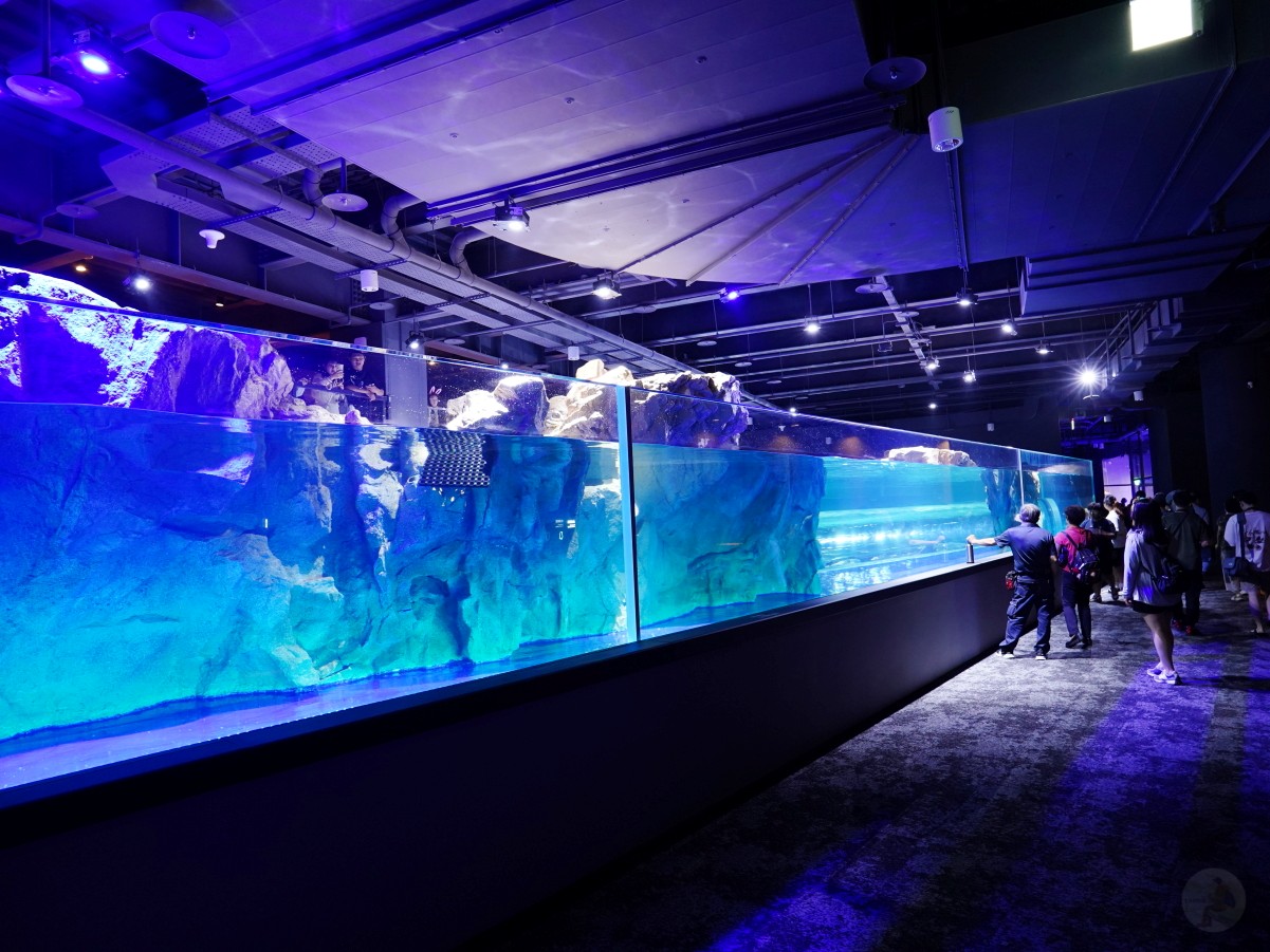 台中海洋館, 台中水族館, 台中海洋館開箱, 台中海洋館門票, 台中海洋館交通, 台中海洋館試營運, 台中旅遊景點, 台中親子景點, 台中景點推薦, 中部水族館,台中海洋生態館,台中海洋館,台中一日遊,海生館,台中景點,台中海生館門票資訊,台中海生館開幕日期,台中海生館交通資訊,台中海生館停車資訊,台中海生館票價,台中海生館開幕時間,台中海洋生態館門票,台中海洋生態館開幕了嗎,台中海生館官網,台中海生館ptt,台中海生館徵才,台中海生館開幕了嗎,台中海生館dcard,台中海生館 評價,台中海生館開幕,水母展覽,鯊魚觀賞,珊瑚礁魚類,生態教育,家庭旅遊景點,台中旅遊必去,水族館體驗,台中海生館,中部海生館,台中旅遊景點,2025年開幕,海洋展區,8.1米展示魚缸,台中海生館, 2025開幕, 清水景點, 梧棲漁港, 親子景點, 中部旅遊, 巨型魚缸, 台灣海生館, 台中新景點,台中海洋館 台中海洋館, 台中水族館, 台中海洋館開箱, 台中海洋館門票, 台中海洋館交通, 台中海洋館試營運, 台中旅遊景點, 台中親子景點, 台中景點推薦, 中部水族館,台中海洋生態館,台中海洋館,台中一日遊,海生館,台中景點,台中海生館門票資訊,台中海生館開幕日期,台中海生館交通資訊,台中海生館停車資訊,台中海生館票價,台中海生館開幕時間,台中海洋生態館門票,台中海洋生態館開幕了嗎,台中海生館官網,台中海生館ptt,台中海生館徵才,台中海生館開幕了嗎,台中海生館dcard,台中海生館 評價,台中海生館開幕,水母展覽,鯊魚觀賞,珊瑚礁魚類,生態教育,家庭旅遊景點,台中旅遊必去,水族館體驗,台中海生館,中部海生館,台中旅遊景點,2025年開幕,海洋展區,8.1米展示魚缸,台中海生館, 2025開幕, 清水景點, 梧棲漁港, 親子景點, 中部旅遊, 巨型魚缸, 台灣海生館, 台中新景點,台中海洋館