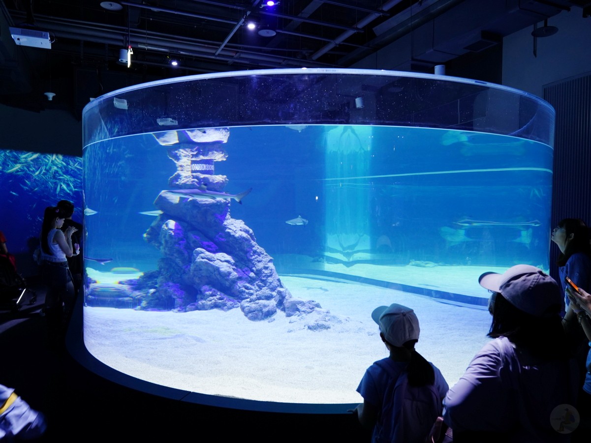 台中海洋館, 台中水族館, 台中海洋館開箱, 台中海洋館門票, 台中海洋館交通, 台中海洋館試營運, 台中旅遊景點, 台中親子景點, 台中景點推薦, 中部水族館,台中海洋生態館,台中海洋館,台中一日遊,海生館,台中景點,台中海生館門票資訊,台中海生館開幕日期,台中海生館交通資訊,台中海生館停車資訊,台中海生館票價,台中海生館開幕時間,台中海洋生態館門票,台中海洋生態館開幕了嗎,台中海生館官網,台中海生館ptt,台中海生館徵才,台中海生館開幕了嗎,台中海生館dcard,台中海生館 評價,台中海生館開幕,水母展覽,鯊魚觀賞,珊瑚礁魚類,生態教育,家庭旅遊景點,台中旅遊必去,水族館體驗,台中海生館,中部海生館,台中旅遊景點,2025年開幕,海洋展區,8.1米展示魚缸,台中海生館, 2025開幕, 清水景點, 梧棲漁港, 親子景點, 中部旅遊, 巨型魚缸, 台灣海生館, 台中新景點,台中海洋館 台中海洋館, 台中水族館, 台中海洋館開箱, 台中海洋館門票, 台中海洋館交通, 台中海洋館試營運, 台中旅遊景點, 台中親子景點, 台中景點推薦, 中部水族館,台中海洋生態館,台中海洋館,台中一日遊,海生館,台中景點,台中海生館門票資訊,台中海生館開幕日期,台中海生館交通資訊,台中海生館停車資訊,台中海生館票價,台中海生館開幕時間,台中海洋生態館門票,台中海洋生態館開幕了嗎,台中海生館官網,台中海生館ptt,台中海生館徵才,台中海生館開幕了嗎,台中海生館dcard,台中海生館 評價,台中海生館開幕,水母展覽,鯊魚觀賞,珊瑚礁魚類,生態教育,家庭旅遊景點,台中旅遊必去,水族館體驗,台中海生館,中部海生館,台中旅遊景點,2025年開幕,海洋展區,8.1米展示魚缸,台中海生館, 2025開幕, 清水景點, 梧棲漁港, 親子景點, 中部旅遊, 巨型魚缸, 台灣海生館, 台中新景點,台中海洋館