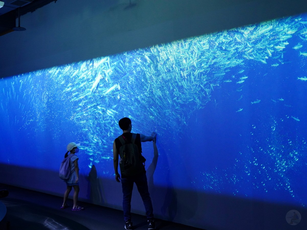 台中海洋館, 台中水族館, 台中海洋館開箱, 台中海洋館門票, 台中海洋館交通, 台中海洋館試營運, 台中旅遊景點, 台中親子景點, 台中景點推薦, 中部水族館,台中海洋生態館,台中海洋館,台中一日遊,海生館,台中景點,台中海生館門票資訊,台中海生館開幕日期,台中海生館交通資訊,台中海生館停車資訊,台中海生館票價,台中海生館開幕時間,台中海洋生態館門票,台中海洋生態館開幕了嗎,台中海生館官網,台中海生館ptt,台中海生館徵才,台中海生館開幕了嗎,台中海生館dcard,台中海生館 評價,台中海生館開幕,水母展覽,鯊魚觀賞,珊瑚礁魚類,生態教育,家庭旅遊景點,台中旅遊必去,水族館體驗,台中海生館,中部海生館,台中旅遊景點,2025年開幕,海洋展區,8.1米展示魚缸,台中海生館, 2025開幕, 清水景點, 梧棲漁港, 親子景點, 中部旅遊, 巨型魚缸, 台灣海生館, 台中新景點,台中海洋館 台中海洋館, 台中水族館, 台中海洋館開箱, 台中海洋館門票, 台中海洋館交通, 台中海洋館試營運, 台中旅遊景點, 台中親子景點, 台中景點推薦, 中部水族館,台中海洋生態館,台中海洋館,台中一日遊,海生館,台中景點,台中海生館門票資訊,台中海生館開幕日期,台中海生館交通資訊,台中海生館停車資訊,台中海生館票價,台中海生館開幕時間,台中海洋生態館門票,台中海洋生態館開幕了嗎,台中海生館官網,台中海生館ptt,台中海生館徵才,台中海生館開幕了嗎,台中海生館dcard,台中海生館 評價,台中海生館開幕,水母展覽,鯊魚觀賞,珊瑚礁魚類,生態教育,家庭旅遊景點,台中旅遊必去,水族館體驗,台中海生館,中部海生館,台中旅遊景點,2025年開幕,海洋展區,8.1米展示魚缸,台中海生館, 2025開幕, 清水景點, 梧棲漁港, 親子景點, 中部旅遊, 巨型魚缸, 台灣海生館, 台中新景點,台中海洋館