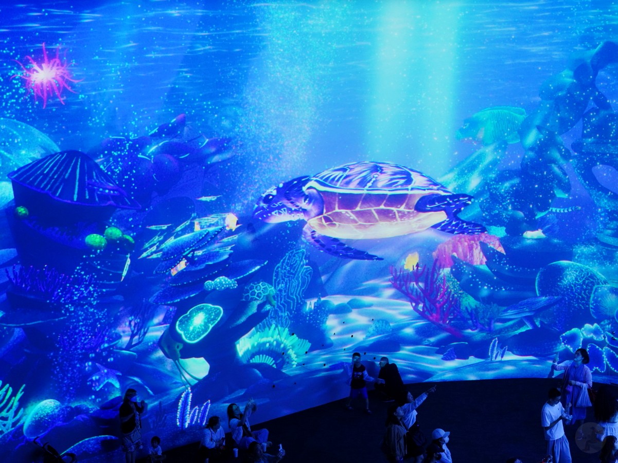 台中海洋館, 台中水族館, 台中海洋館開箱, 台中海洋館門票, 台中海洋館交通, 台中海洋館試營運, 台中旅遊景點, 台中親子景點, 台中景點推薦, 中部水族館,台中海洋生態館,台中海洋館,台中一日遊,海生館,台中景點,台中海生館門票資訊,台中海生館開幕日期,台中海生館交通資訊,台中海生館停車資訊,台中海生館票價,台中海生館開幕時間,台中海洋生態館門票,台中海洋生態館開幕了嗎,台中海生館官網,台中海生館ptt,台中海生館徵才,台中海生館開幕了嗎,台中海生館dcard,台中海生館 評價,台中海生館開幕,水母展覽,鯊魚觀賞,珊瑚礁魚類,生態教育,家庭旅遊景點,台中旅遊必去,水族館體驗,台中海生館,中部海生館,台中旅遊景點,2025年開幕,海洋展區,8.1米展示魚缸,台中海生館, 2025開幕, 清水景點, 梧棲漁港, 親子景點, 中部旅遊, 巨型魚缸, 台灣海生館, 台中新景點,台中海洋館 台中海洋館, 台中水族館, 台中海洋館開箱, 台中海洋館門票, 台中海洋館交通, 台中海洋館試營運, 台中旅遊景點, 台中親子景點, 台中景點推薦, 中部水族館,台中海洋生態館,台中海洋館,台中一日遊,海生館,台中景點,台中海生館門票資訊,台中海生館開幕日期,台中海生館交通資訊,台中海生館停車資訊,台中海生館票價,台中海生館開幕時間,台中海洋生態館門票,台中海洋生態館開幕了嗎,台中海生館官網,台中海生館ptt,台中海生館徵才,台中海生館開幕了嗎,台中海生館dcard,台中海生館 評價,台中海生館開幕,水母展覽,鯊魚觀賞,珊瑚礁魚類,生態教育,家庭旅遊景點,台中旅遊必去,水族館體驗,台中海生館,中部海生館,台中旅遊景點,2025年開幕,海洋展區,8.1米展示魚缸,台中海生館, 2025開幕, 清水景點, 梧棲漁港, 親子景點, 中部旅遊, 巨型魚缸, 台灣海生館, 台中新景點,台中海洋館