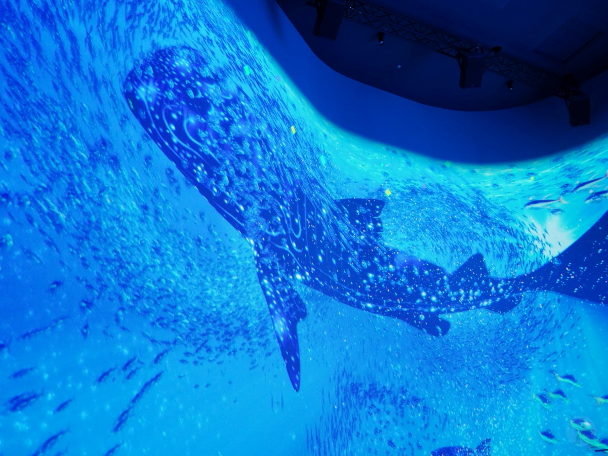 台中海洋館, 台中水族館, 台中海洋館開箱, 台中海洋館門票, 台中海洋館交通, 台中海洋館試營運, 台中旅遊景點, 台中親子景點, 台中景點推薦, 中部水族館,台中海洋生態館,台中海洋館,台中一日遊,海生館,台中景點,台中海生館門票資訊,台中海生館開幕日期,台中海生館交通資訊,台中海生館停車資訊,台中海生館票價,台中海生館開幕時間,台中海洋生態館門票,台中海洋生態館開幕了嗎,台中海生館官網,台中海生館ptt,台中海生館徵才,台中海生館開幕了嗎,台中海生館dcard,台中海生館 評價,台中海生館開幕,水母展覽,鯊魚觀賞,珊瑚礁魚類,生態教育,家庭旅遊景點,台中旅遊必去,水族館體驗,台中海生館,中部海生館,台中旅遊景點,2025年開幕,海洋展區,8.1米展示魚缸,台中海生館, 2025開幕, 清水景點, 梧棲漁港, 親子景點, 中部旅遊, 巨型魚缸, 台灣海生館, 台中新景點,台中海洋館 台中海洋館, 台中水族館, 台中海洋館開箱, 台中海洋館門票, 台中海洋館交通, 台中海洋館試營運, 台中旅遊景點, 台中親子景點, 台中景點推薦, 中部水族館,台中海洋生態館,台中海洋館,台中一日遊,海生館,台中景點,台中海生館門票資訊,台中海生館開幕日期,台中海生館交通資訊,台中海生館停車資訊,台中海生館票價,台中海生館開幕時間,台中海洋生態館門票,台中海洋生態館開幕了嗎,台中海生館官網,台中海生館ptt,台中海生館徵才,台中海生館開幕了嗎,台中海生館dcard,台中海生館 評價,台中海生館開幕,水母展覽,鯊魚觀賞,珊瑚礁魚類,生態教育,家庭旅遊景點,台中旅遊必去,水族館體驗,台中海生館,中部海生館,台中旅遊景點,2025年開幕,海洋展區,8.1米展示魚缸,台中海生館, 2025開幕, 清水景點, 梧棲漁港, 親子景點, 中部旅遊, 巨型魚缸, 台灣海生館, 台中新景點,台中海洋館