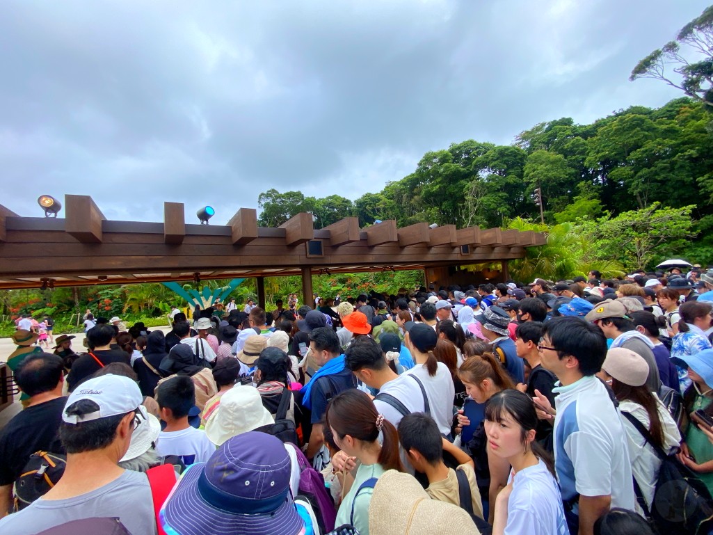 JUNGLIA OKINAWA 大型打卡招牌|沖繩親子景點
