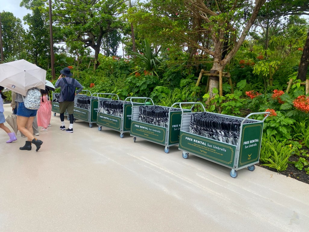 前往 DINOSAUR SAFARI 的林蔭步道|沖繩侏儸紀樂園