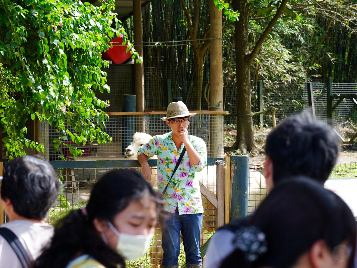 新竹綠世界生態農場,新竹親子景點,北埔一日遊,草泥馬互動區,綠世界門票,綠世界交通,綠世界蝴蝶館,北埔景點推薦 新竹綠世界生態農場,新竹親子景點,北埔一日遊,草泥馬互動區,綠世界門票,綠世界交通,綠世界蝴蝶館,北埔景點推薦