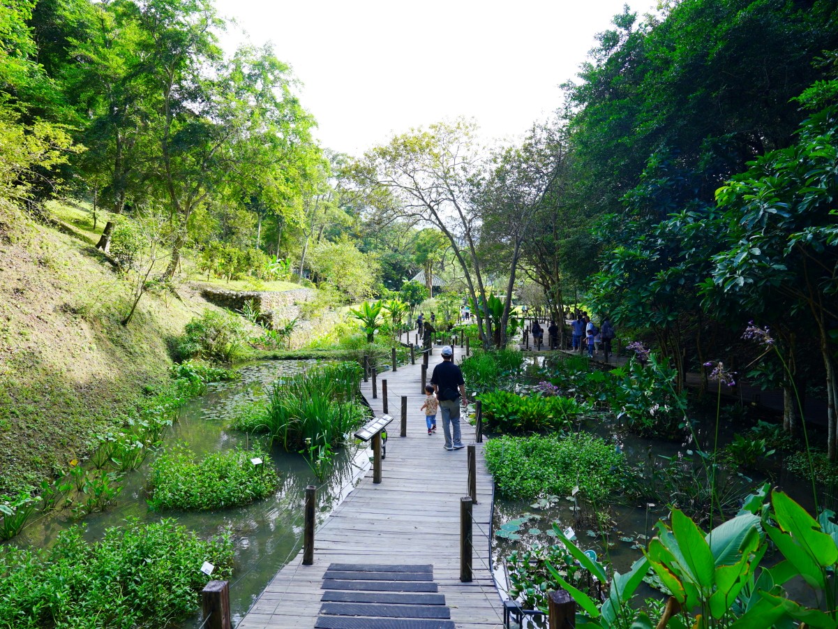 新竹綠世界生態農場,新竹親子景點,北埔一日遊,草泥馬互動區,綠世界門票,綠世界交通,綠世界蝴蝶館,北埔景點推薦