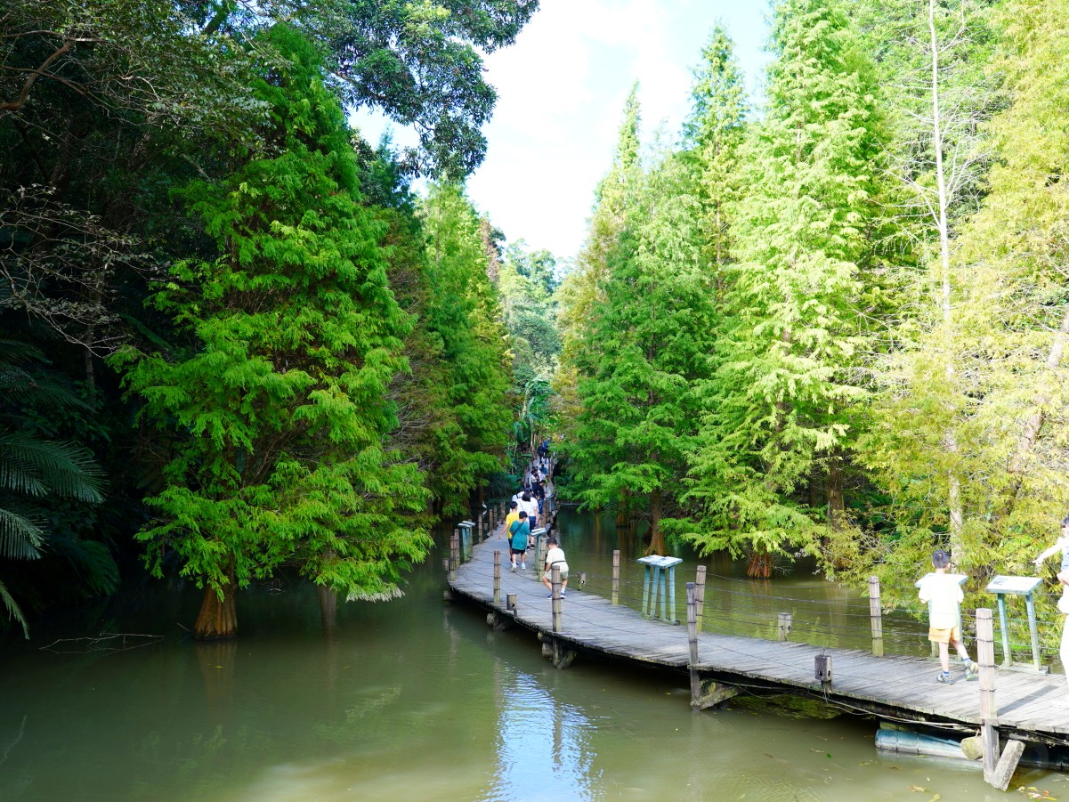 新竹綠世界生態農場,新竹親子景點,北埔一日遊,草泥馬互動區,綠世界門票,綠世界交通,綠世界蝴蝶館,北埔景點推薦 新竹綠世界生態農場,新竹親子景點,北埔一日遊,草泥馬互動區,綠世界門票,綠世界交通,綠世界蝴蝶館,北埔景點推薦