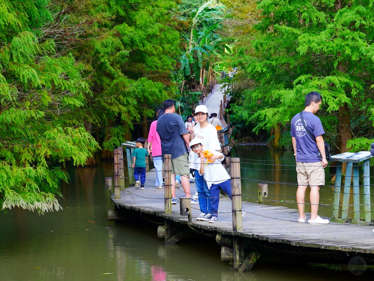 新竹綠世界生態農場,新竹親子景點,北埔一日遊,草泥馬互動區,綠世界門票,綠世界交通,綠世界蝴蝶館,北埔景點推薦 新竹綠世界生態農場,新竹親子景點,北埔一日遊,草泥馬互動區,綠世界門票,綠世界交通,綠世界蝴蝶館,北埔景點推薦