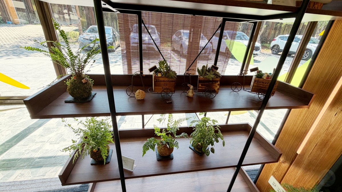 充滿質感的木質調餐廳內部