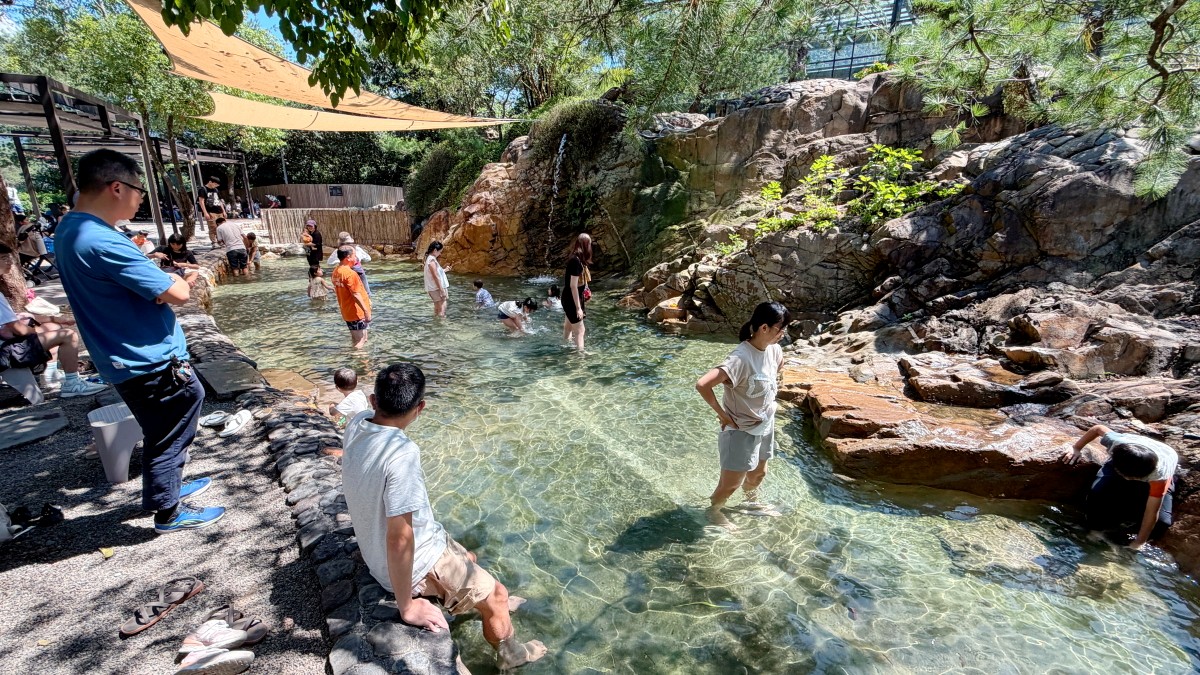 清澈的北港溪流與對岸的秋山居