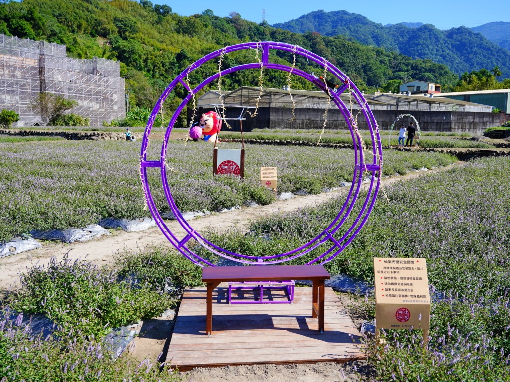 獅潭仙草花,獅潭仙草花節,獅潭仙草,苗栗仙草,苗栗仙草花節,苗栗一日遊,苗栗景點推薦,苗栗花季,仙草花海拍照點,獅潭必吃 獅潭仙草花,獅潭仙草花節,獅潭仙草,苗栗仙草,苗栗仙草花節,苗栗一日遊,苗栗景點推薦,苗栗花季,仙草花海拍照點,獅潭必吃