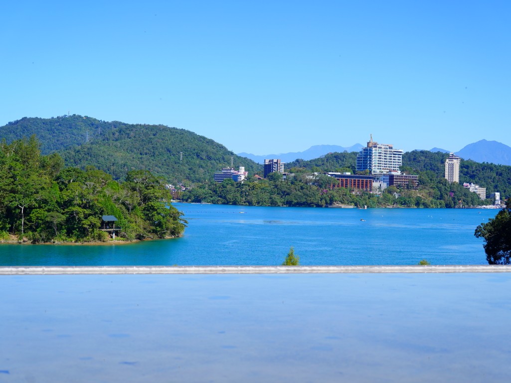 落羽松美景