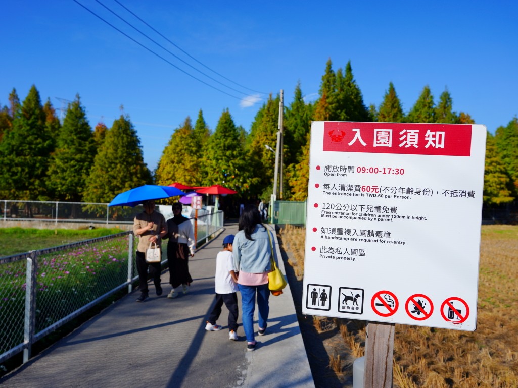 2025泰安落羽松, 羽粼落羽松, 台中落羽松秘境, 后里景點, 2025落羽松季節