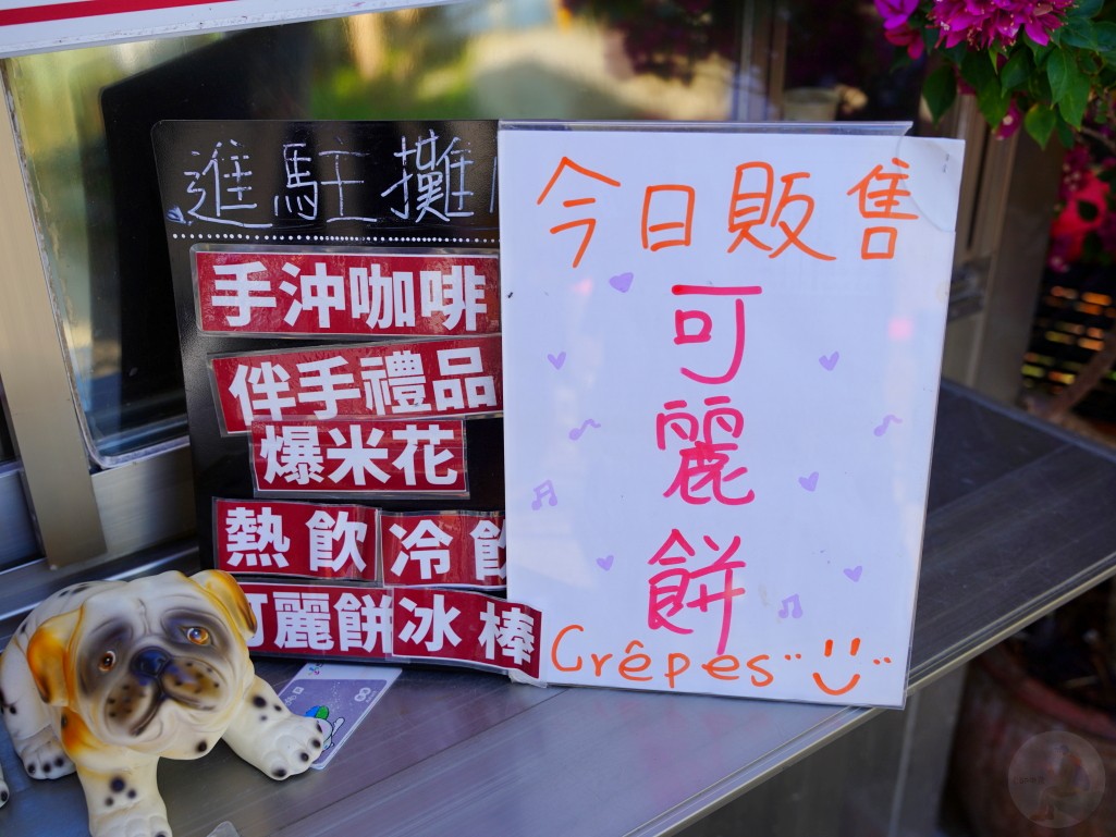2025泰安落羽松, 羽粼落羽松, 台中落羽松秘境, 后里景點, 2025落羽松季節