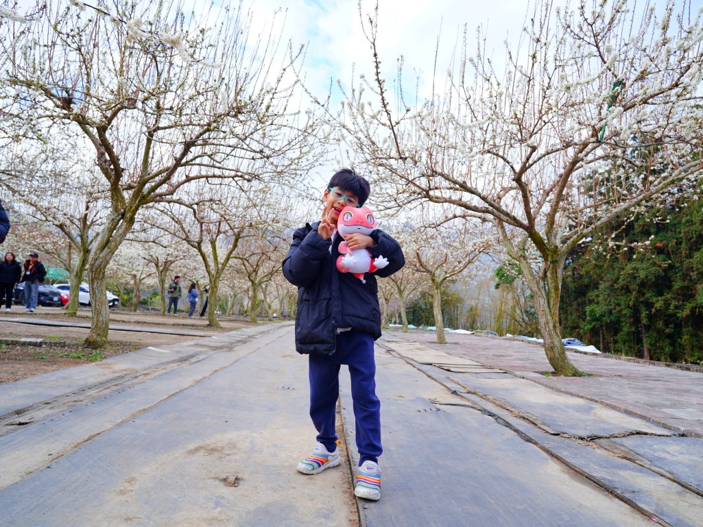 草坪頭櫻花季2026, 草坪頭白色田園, 南投賞花景點, 中部親子旅遊, 草坪頭停車, 李花秘境, 南投高山蔬菜, 2026賞櫻,草坪頭櫻花季,草坪頭白色田園,草坪頭停車場,白色田園,草坪頭白色田園李花盛開 草坪頭櫻花季2026, 草坪頭白色田園, 南投賞花景點, 中部親子旅遊, 草坪頭停車, 李花秘境, 南投高山蔬菜, 2026賞櫻,草坪頭櫻花季,草坪頭白色田園,草坪頭停車場,白色田園,草坪頭白色田園李花盛開