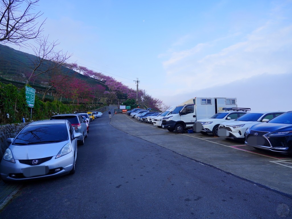 山路與茶園全景