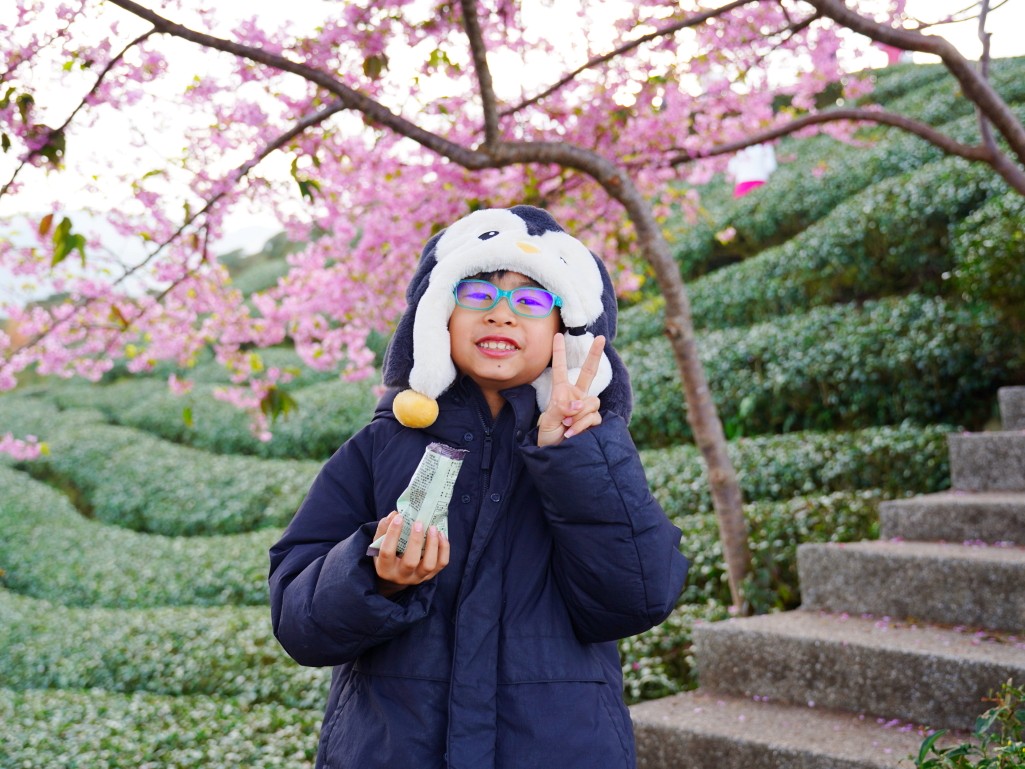 花下的愷愷
