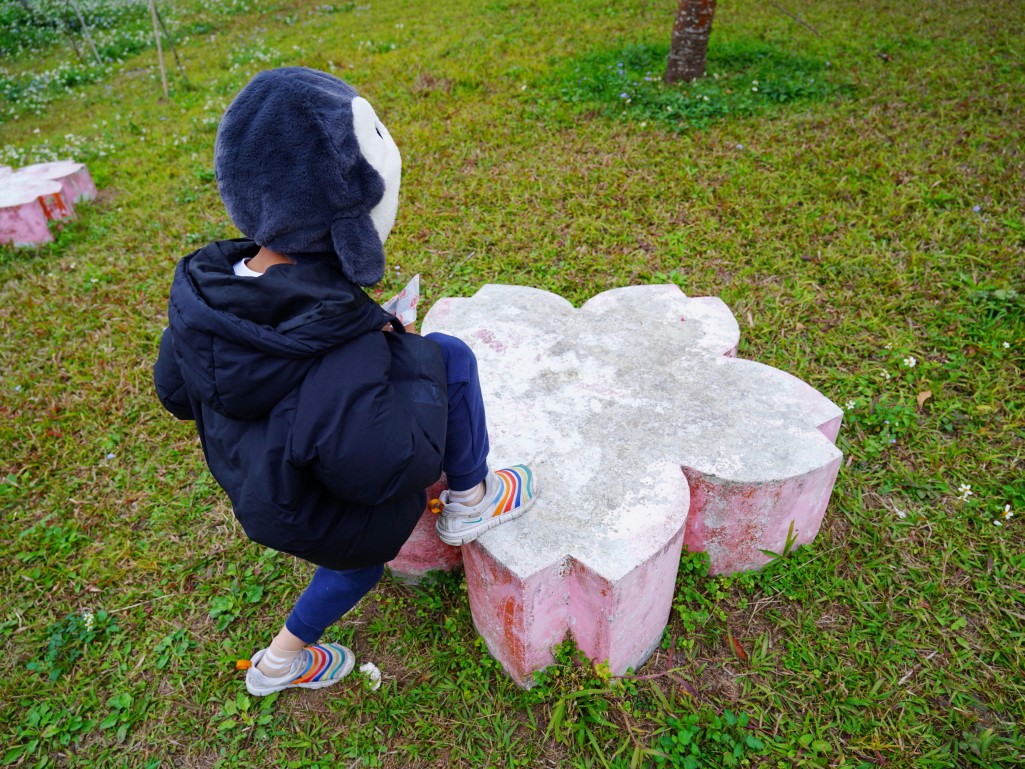 石馬公園, 小半天櫻花, 河津櫻, 鹿谷景點, 南投賞櫻, 八卦茶園順遊, 2026花況 石馬公園, 小半天櫻花, 河津櫻, 鹿谷景點, 南投賞櫻, 八卦茶園順遊, 2026花況