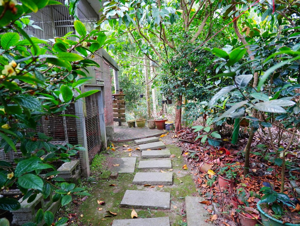 小半天咖啡館, 南投咖啡廳, 鹿谷咖啡, 南投親子景點, 小半天景點, 鹿谷鄉美食, 南投下午茶 小半天咖啡館, 南投咖啡廳, 鹿谷咖啡, 南投親子景點, 小半天景點, 鹿谷鄉美食, 南投下午茶